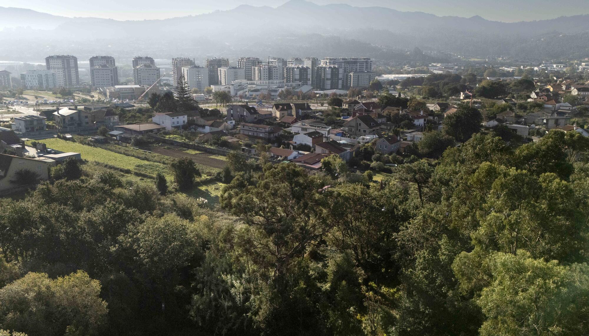 Carballeira da barroca - 5