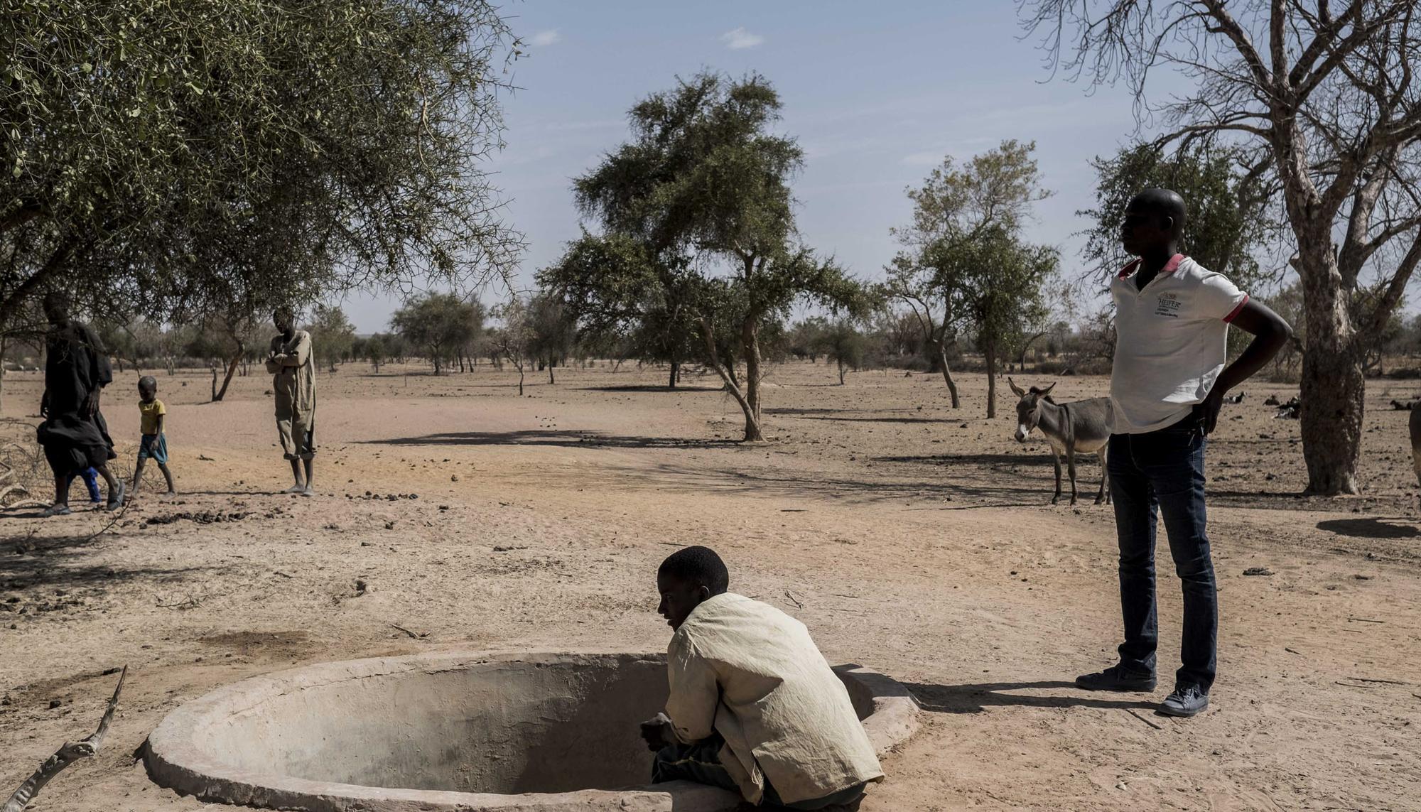 Senegal Buscar Agua 4