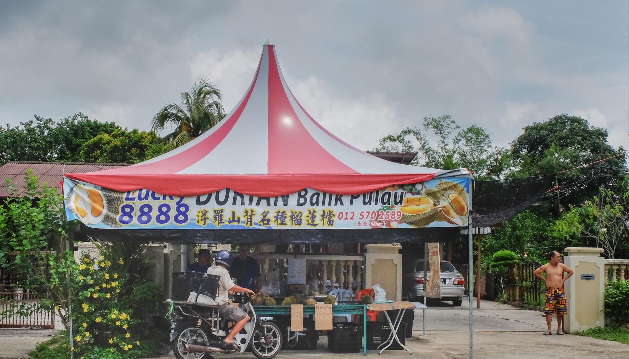 durian 3