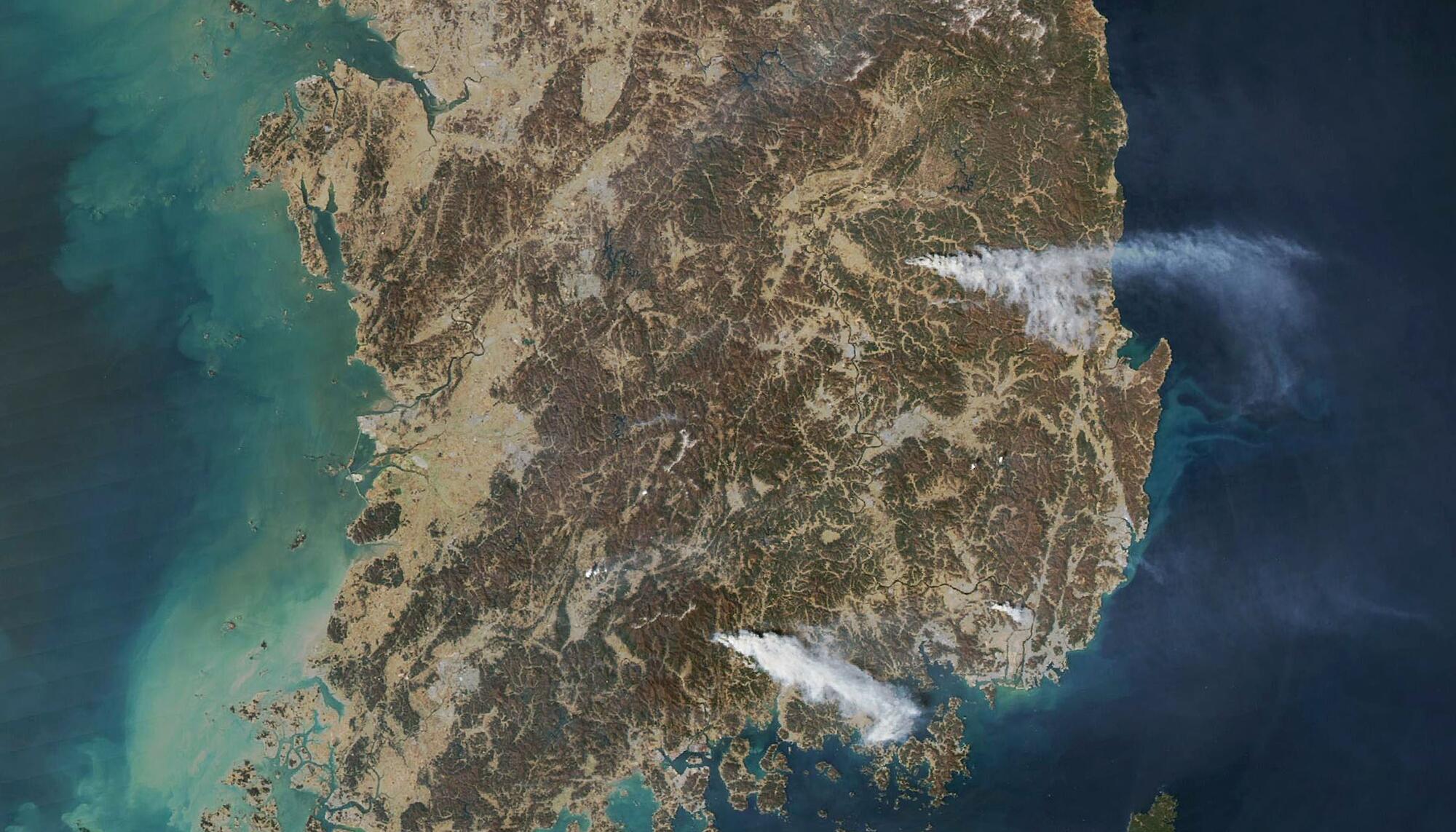 Incendios forestales Corea del Sur