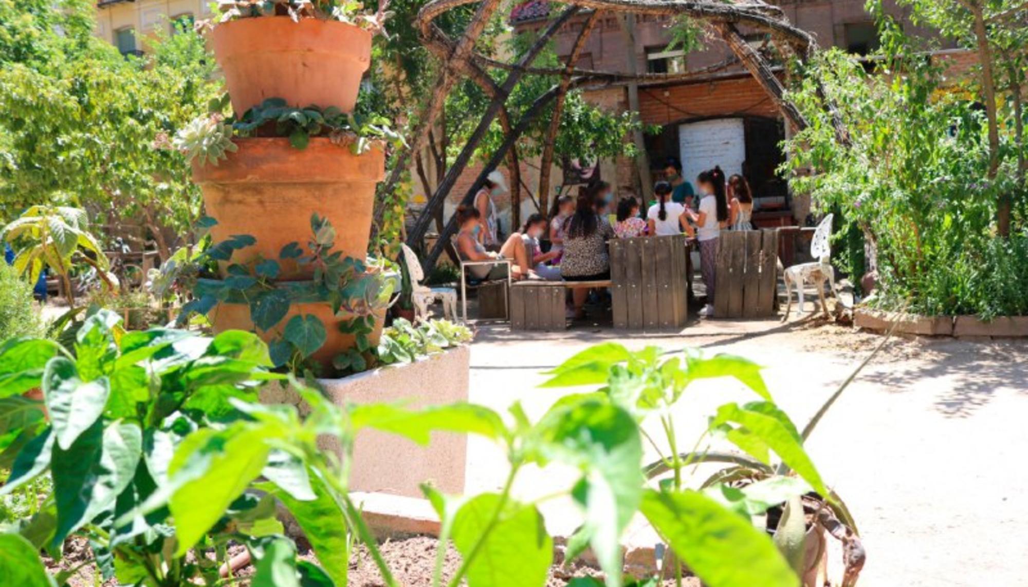 Actividades huertos niñas y niños. 