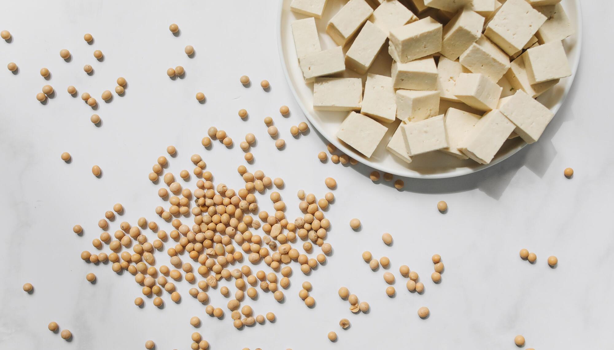 Tofu y soja