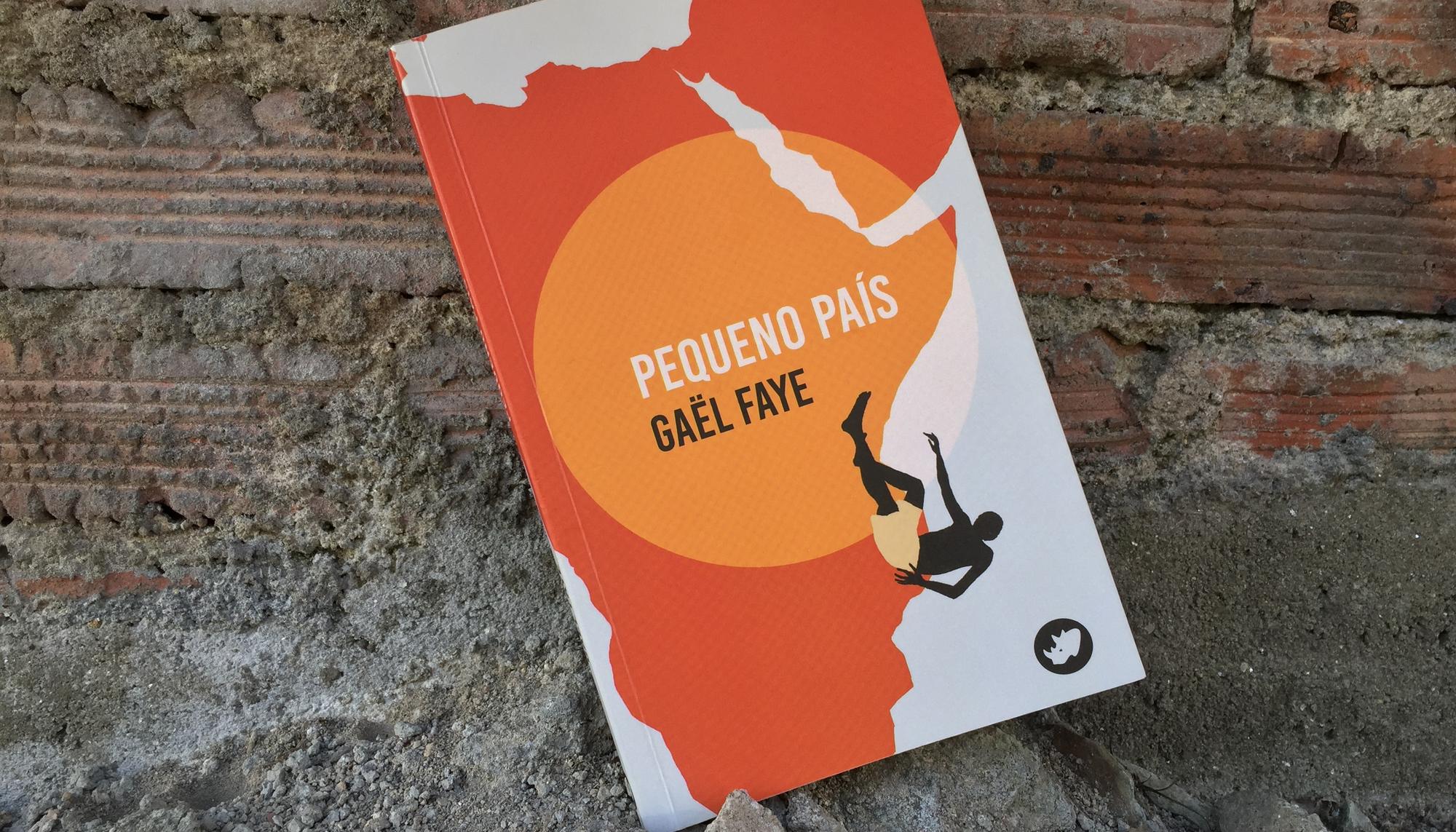 Pequeno País Faye Ricnoceronte editora