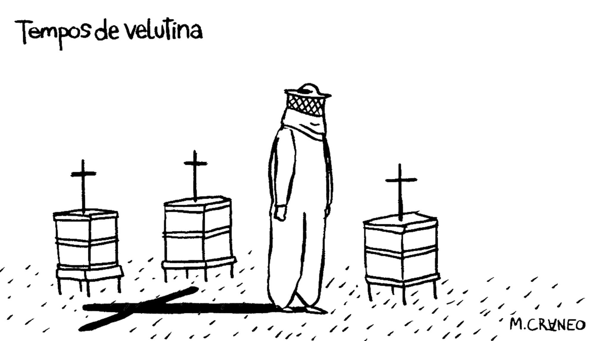 Tempos de velutina