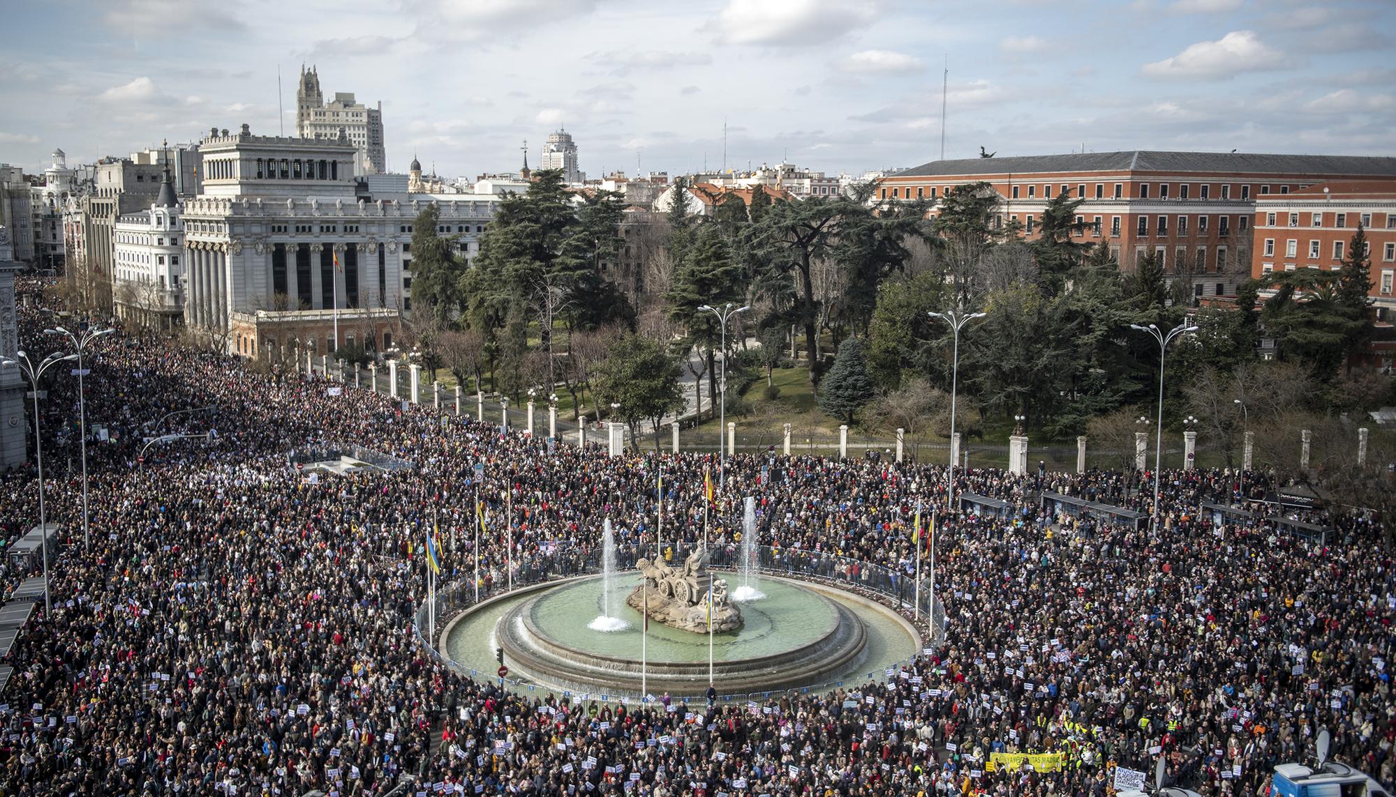 Manifestación Sanidad Pública 12 febrero - 8