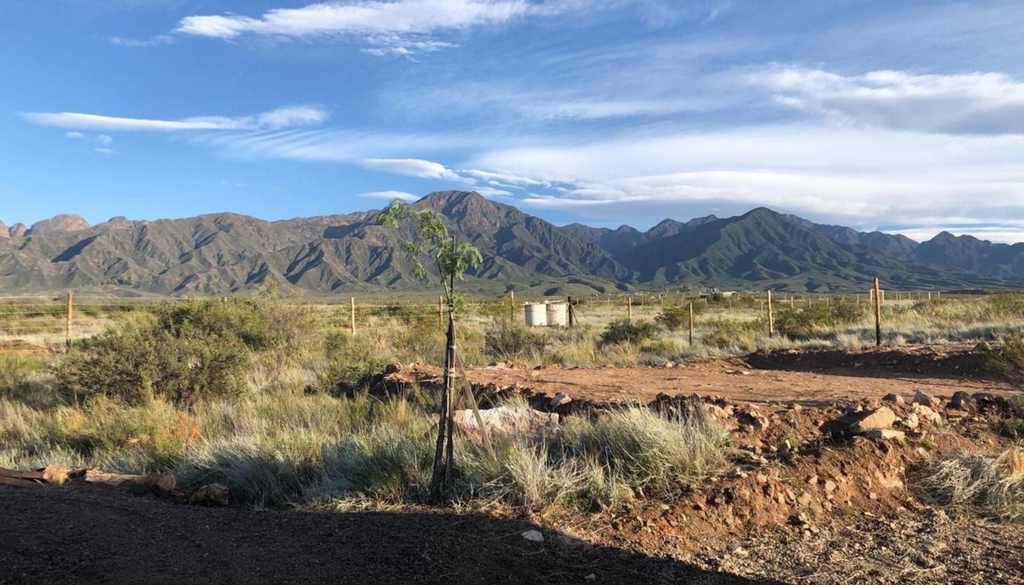 mendoza