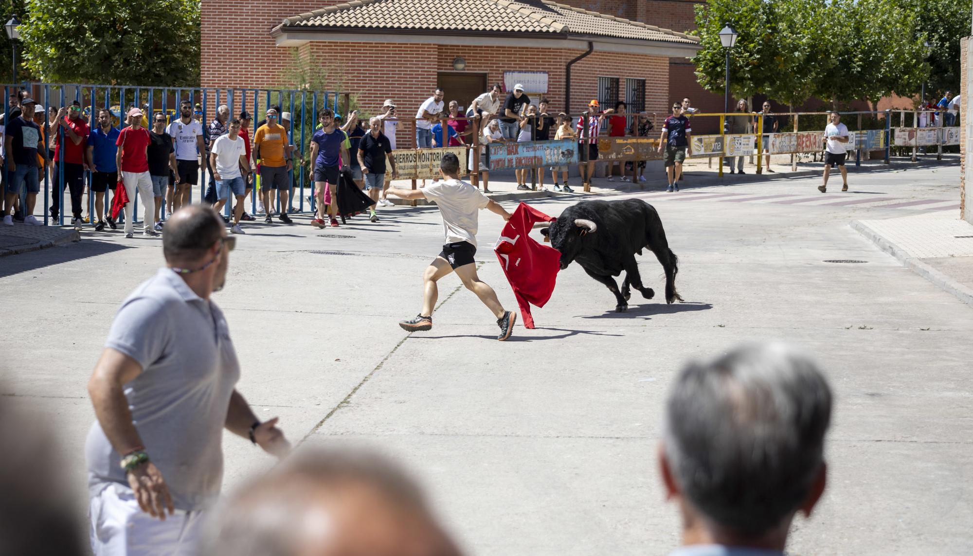 Encierro Santiuste 1