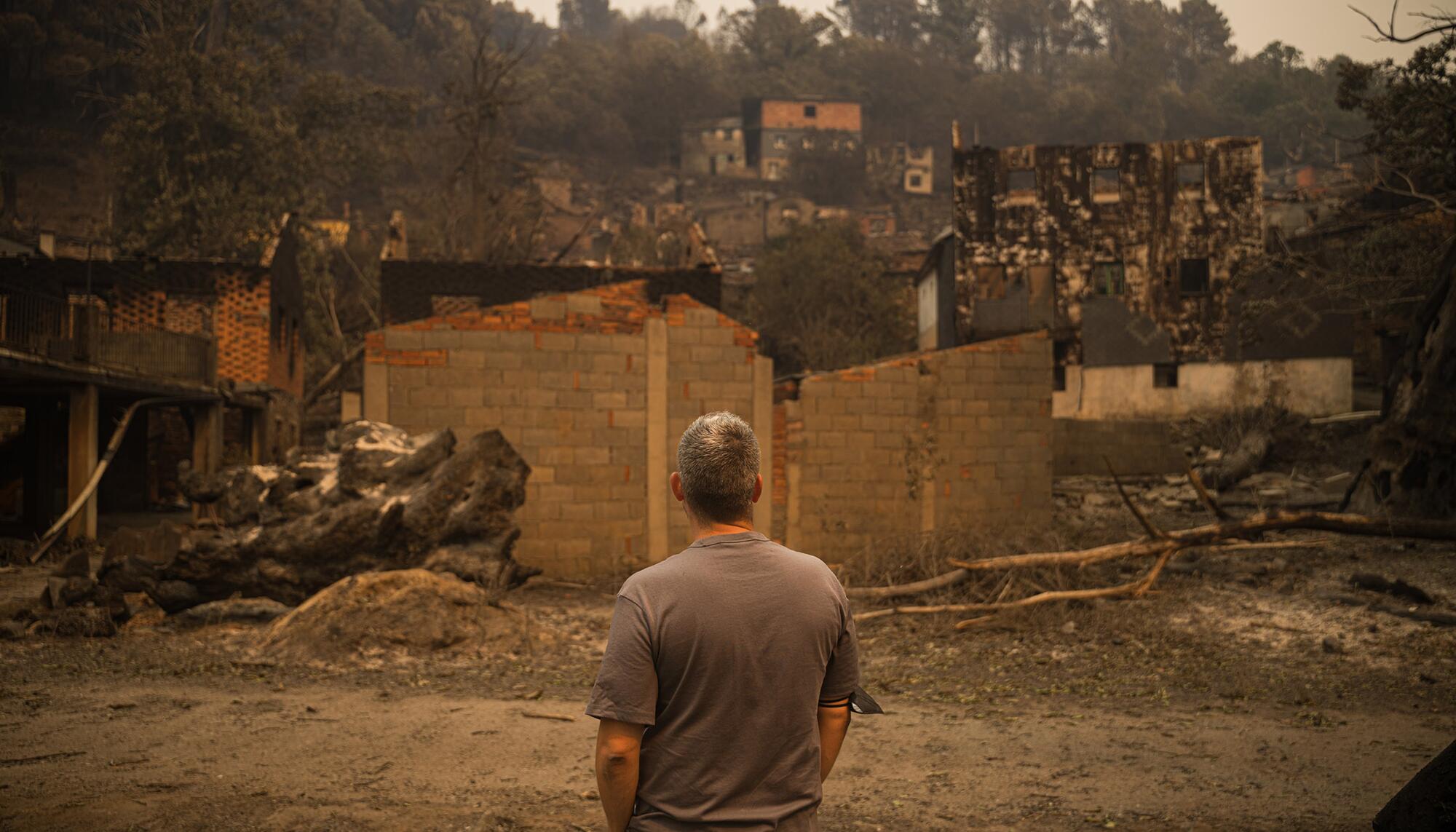 Valdeorras tras los incendios - 17