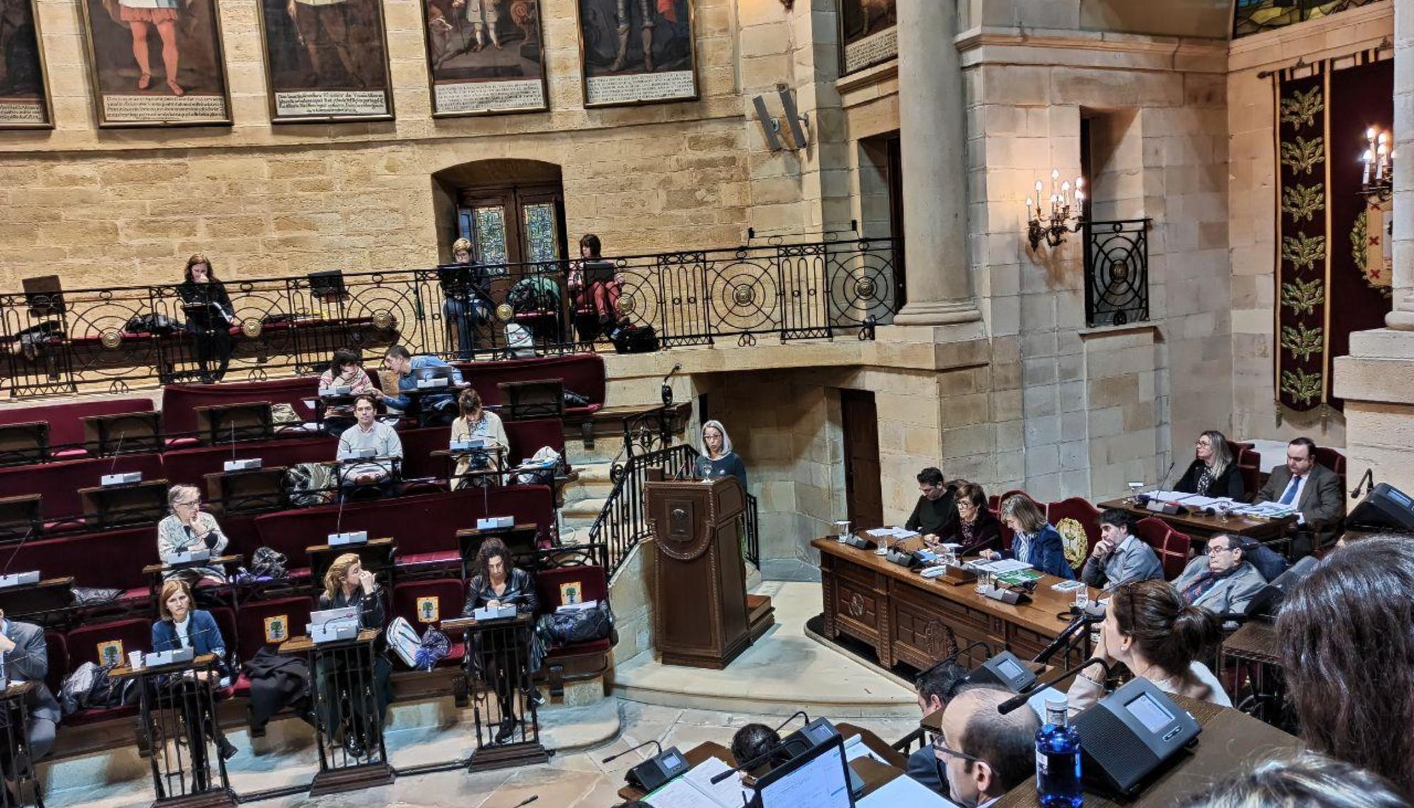 Pleno de Juntas Generales de Bizkaia