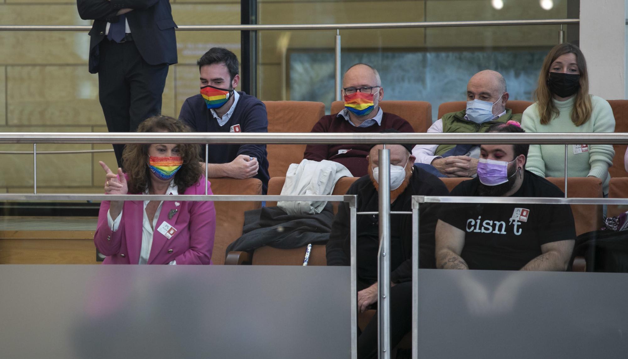 Asamblea de Madrid debate derogación leyes LGTBI  - 7