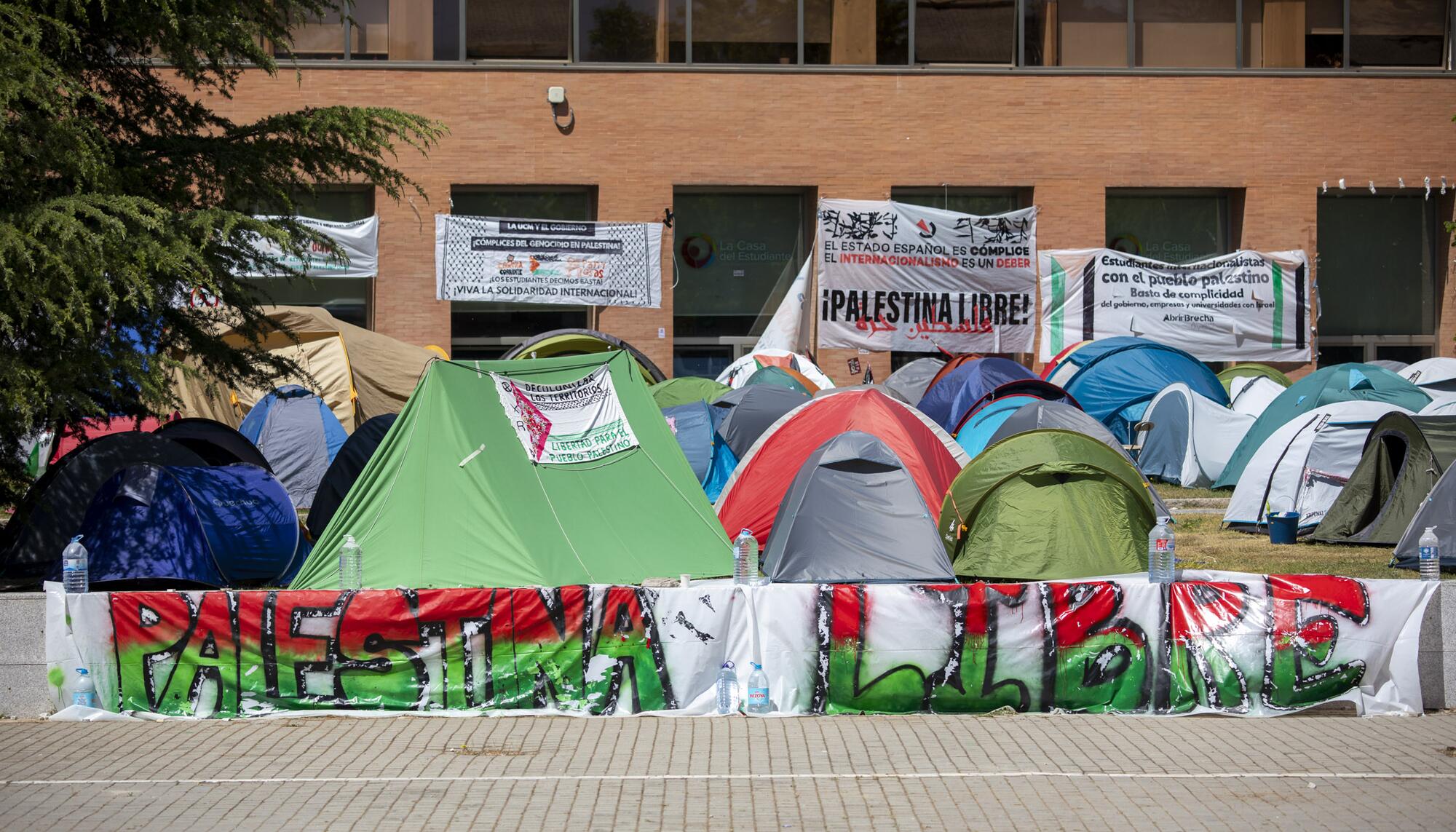 Galeria Acampada Palestina Madrid - 2