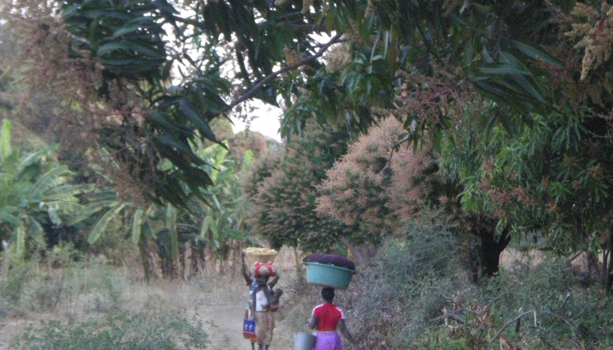 Camino de Changara