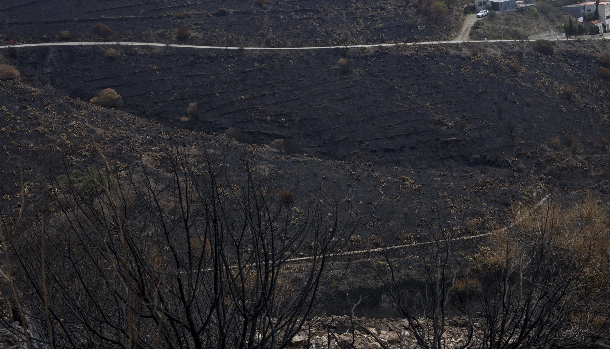 Consecuencias del incendio en Portbou, norte de Catalunya, en el verano de 2022 - 2