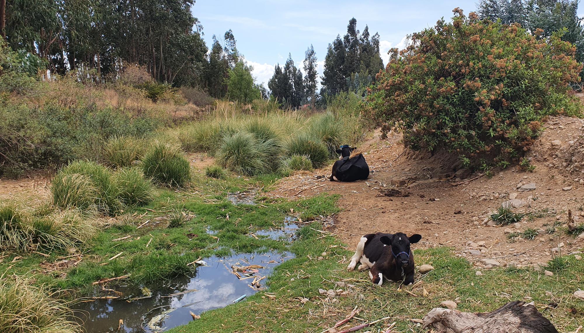 Rio Rocha, Cochabamba