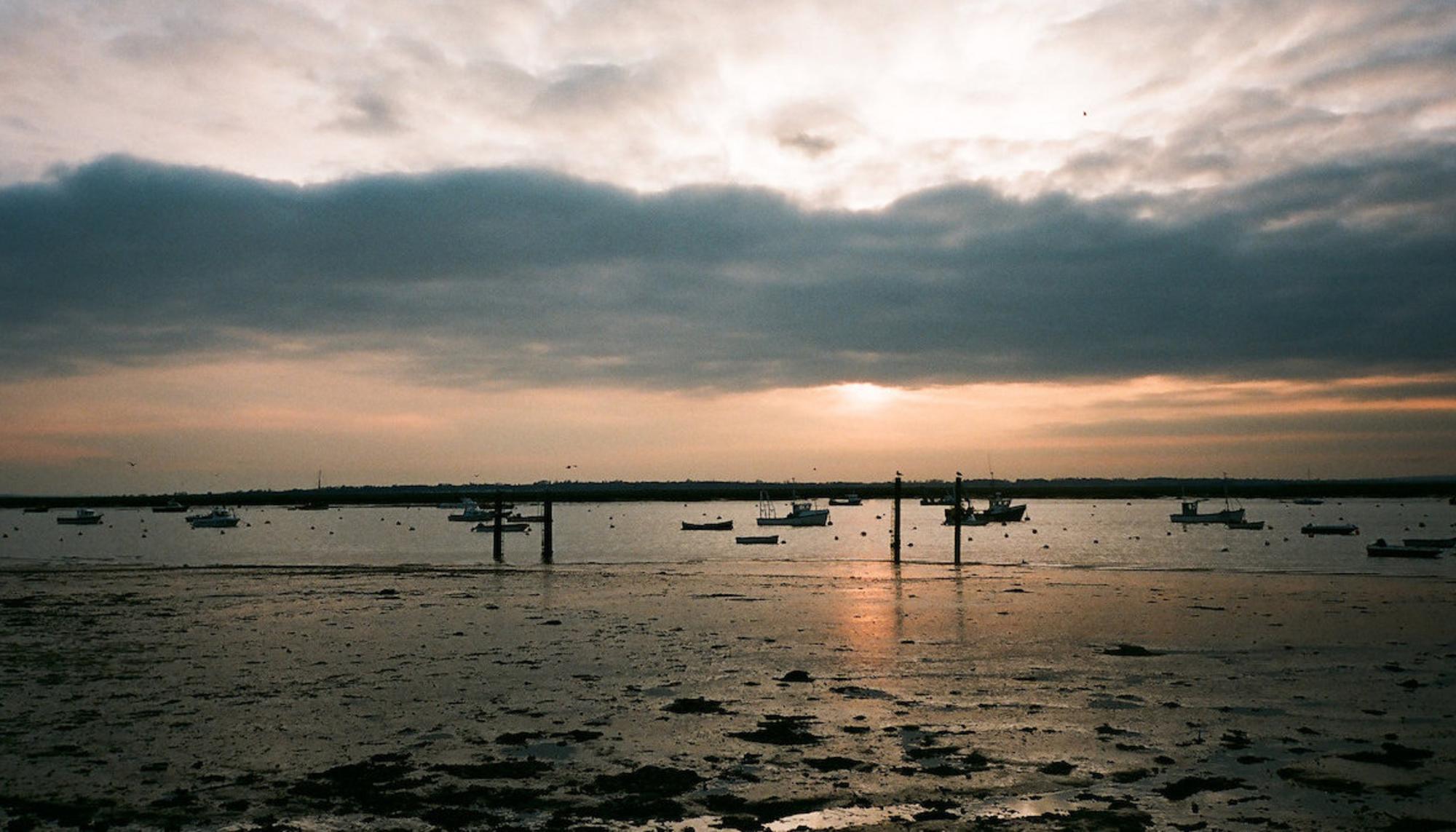 Atardecer en West Mersea. Fuente: Beyond Nuclear International