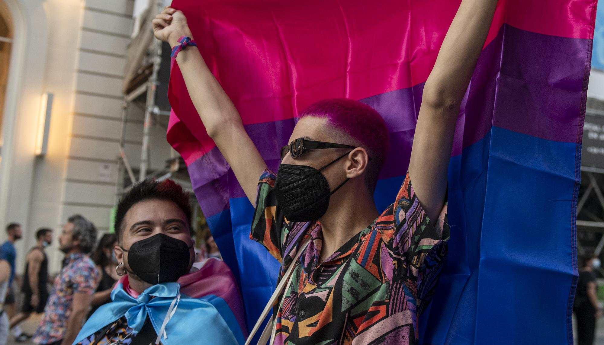 Bandera bisexual