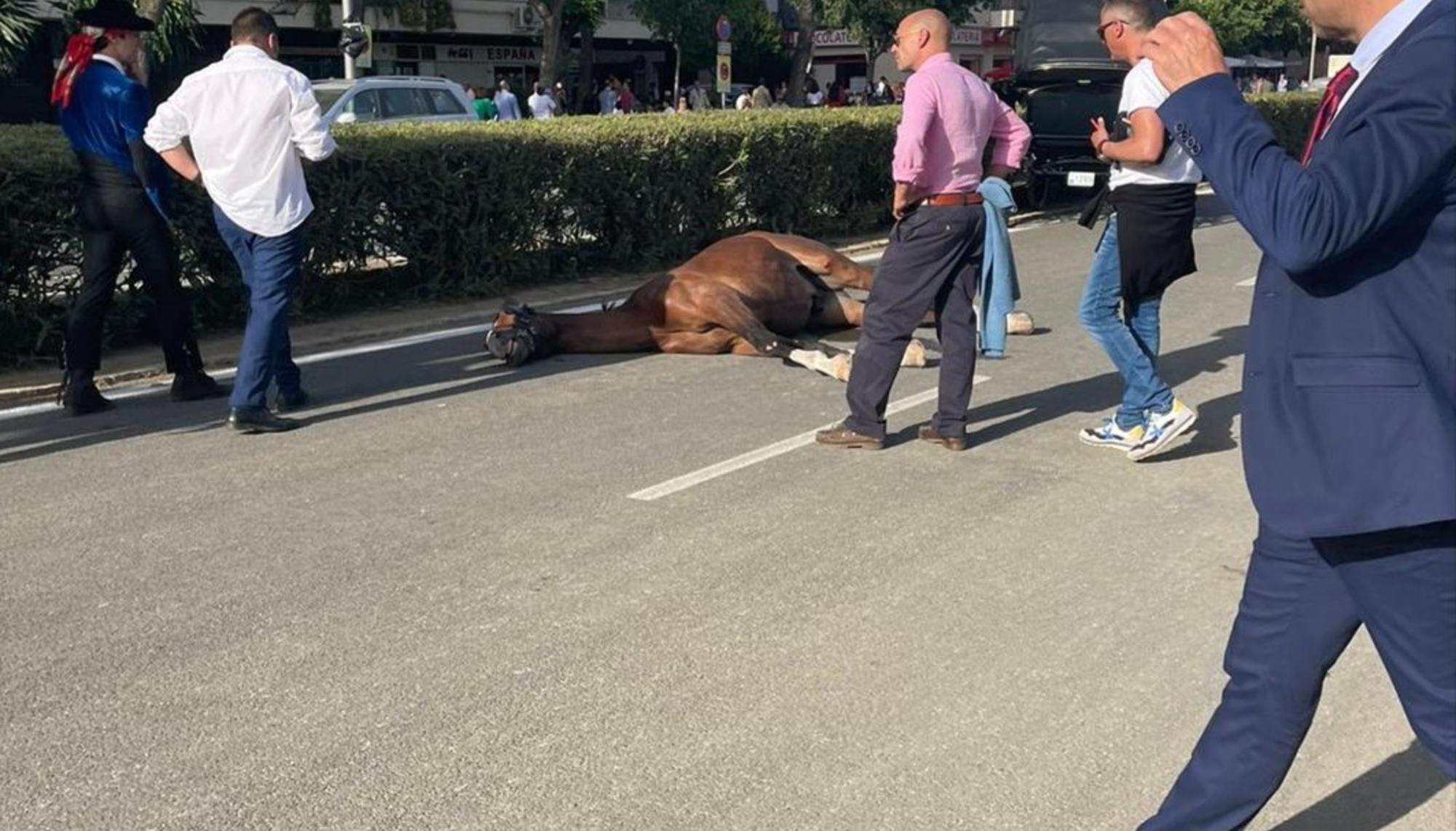 Caballoferia