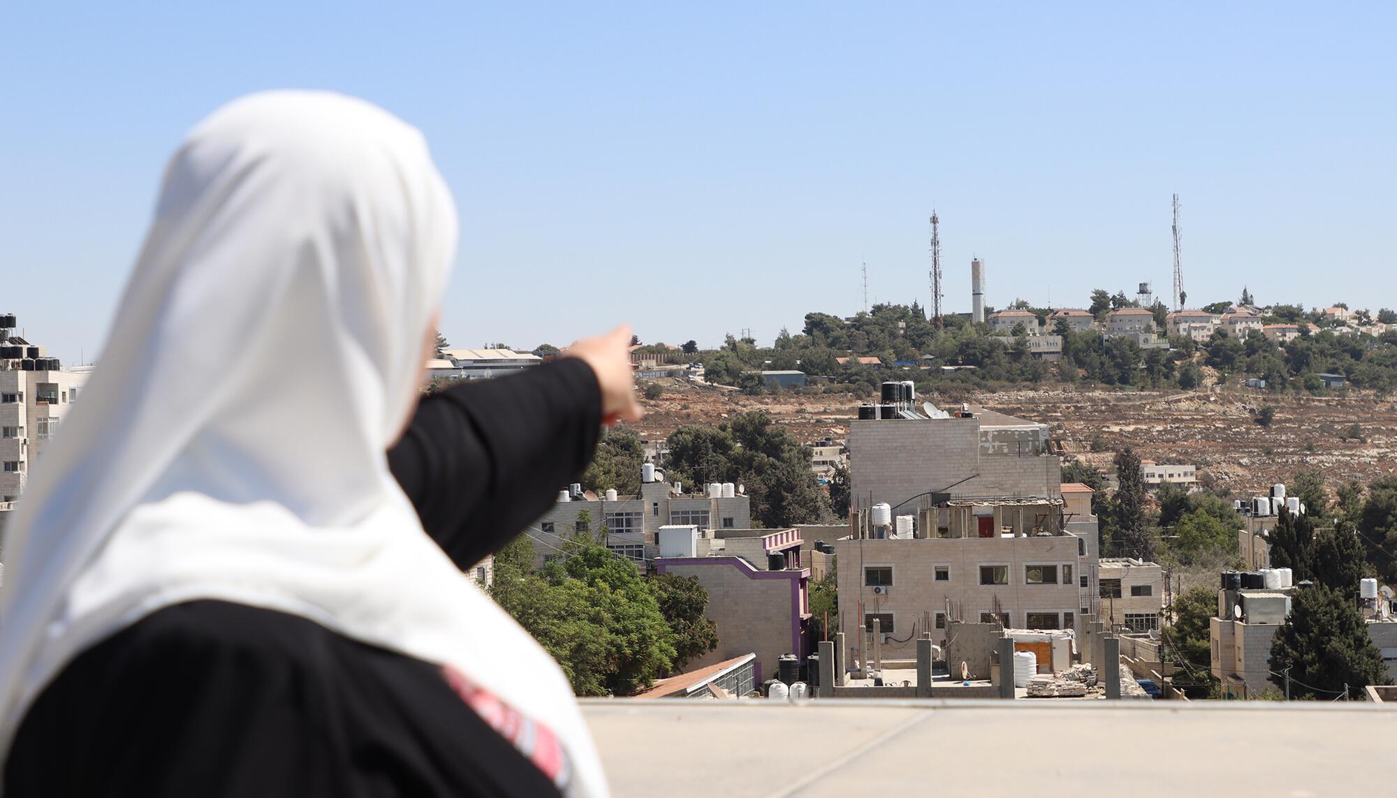 Palestina Viñedos - 3