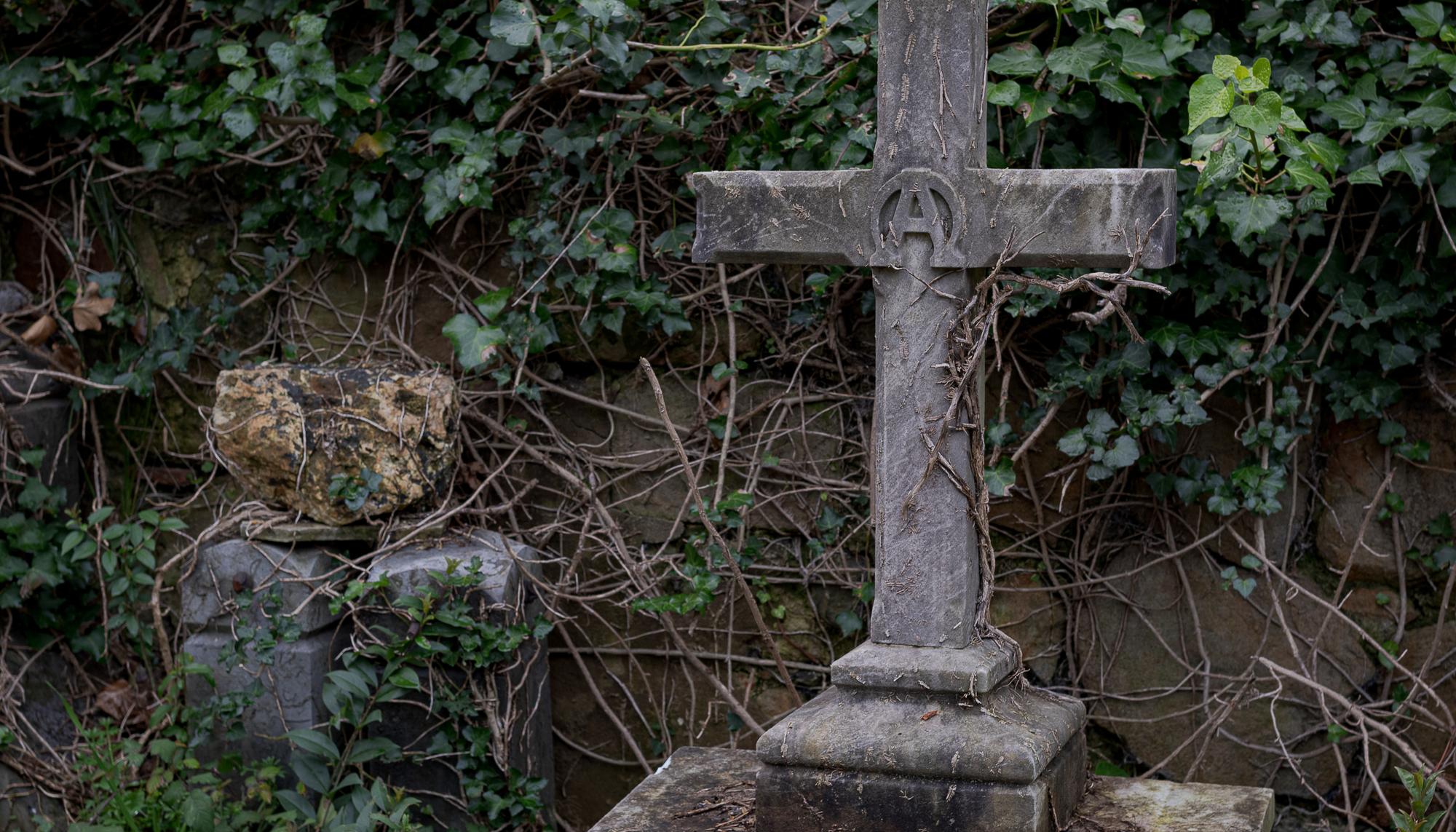 Exhumación en el cementerio de Begoña 8