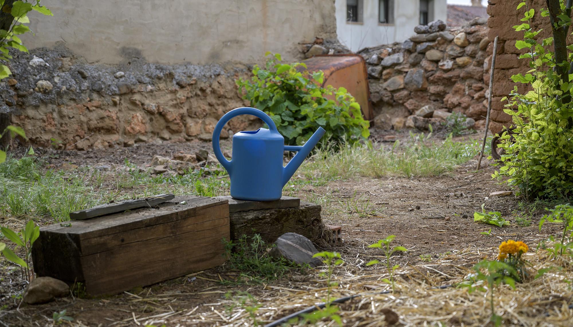 Huerta riego rural