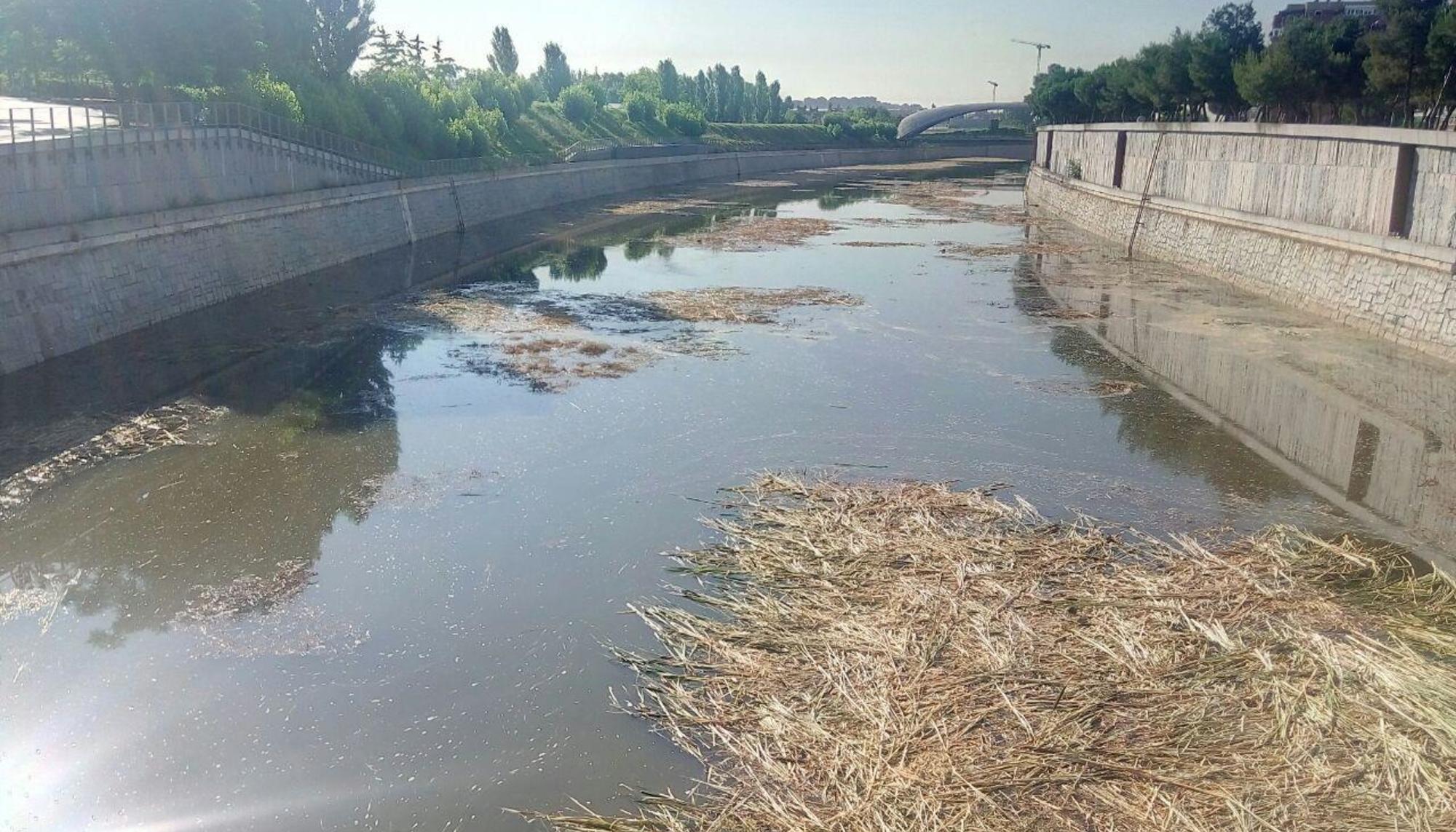 Río Manzanares inundado
