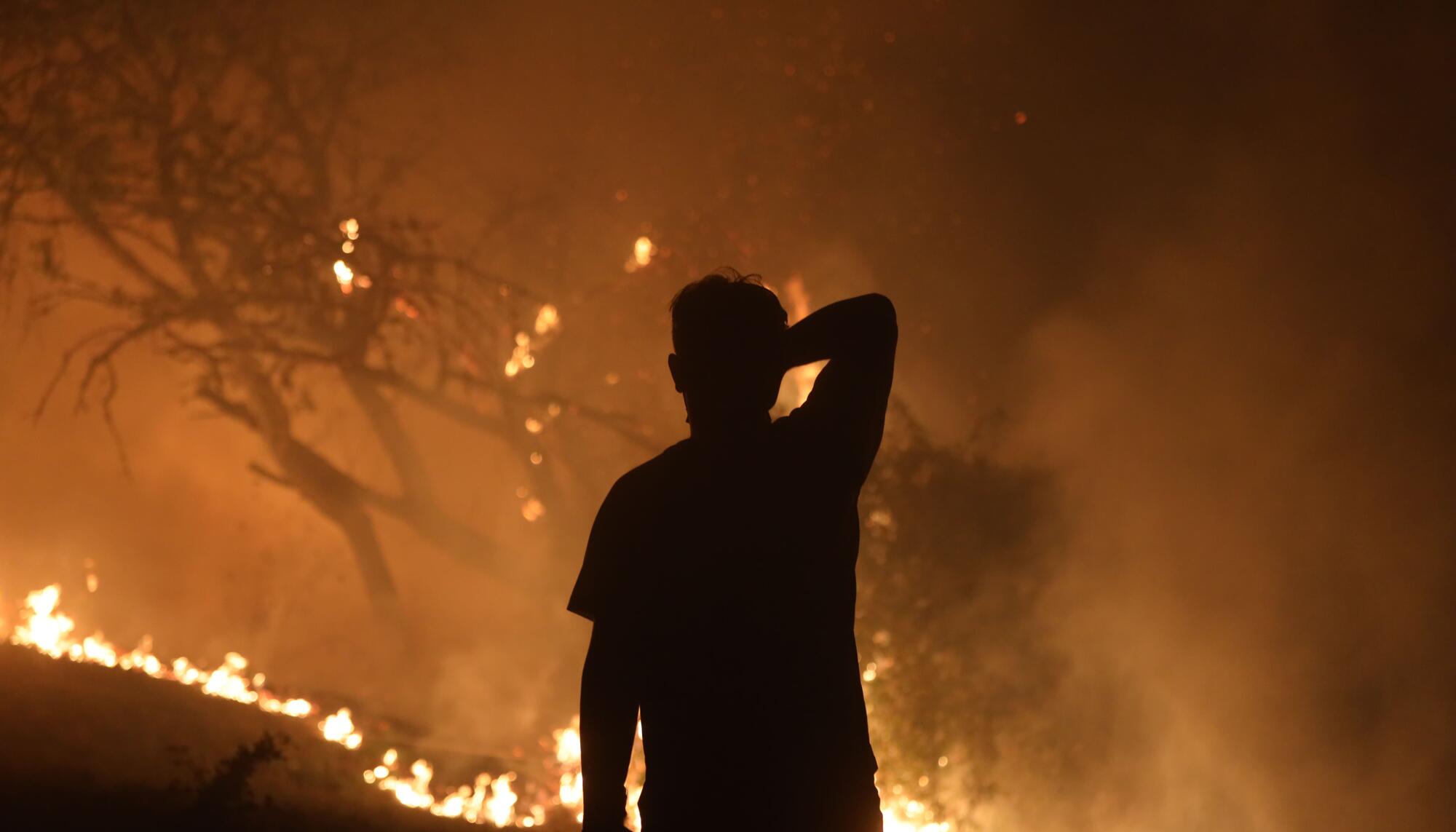 Incendio Cima de Vila, Concello de Pantón, Lugo - 6