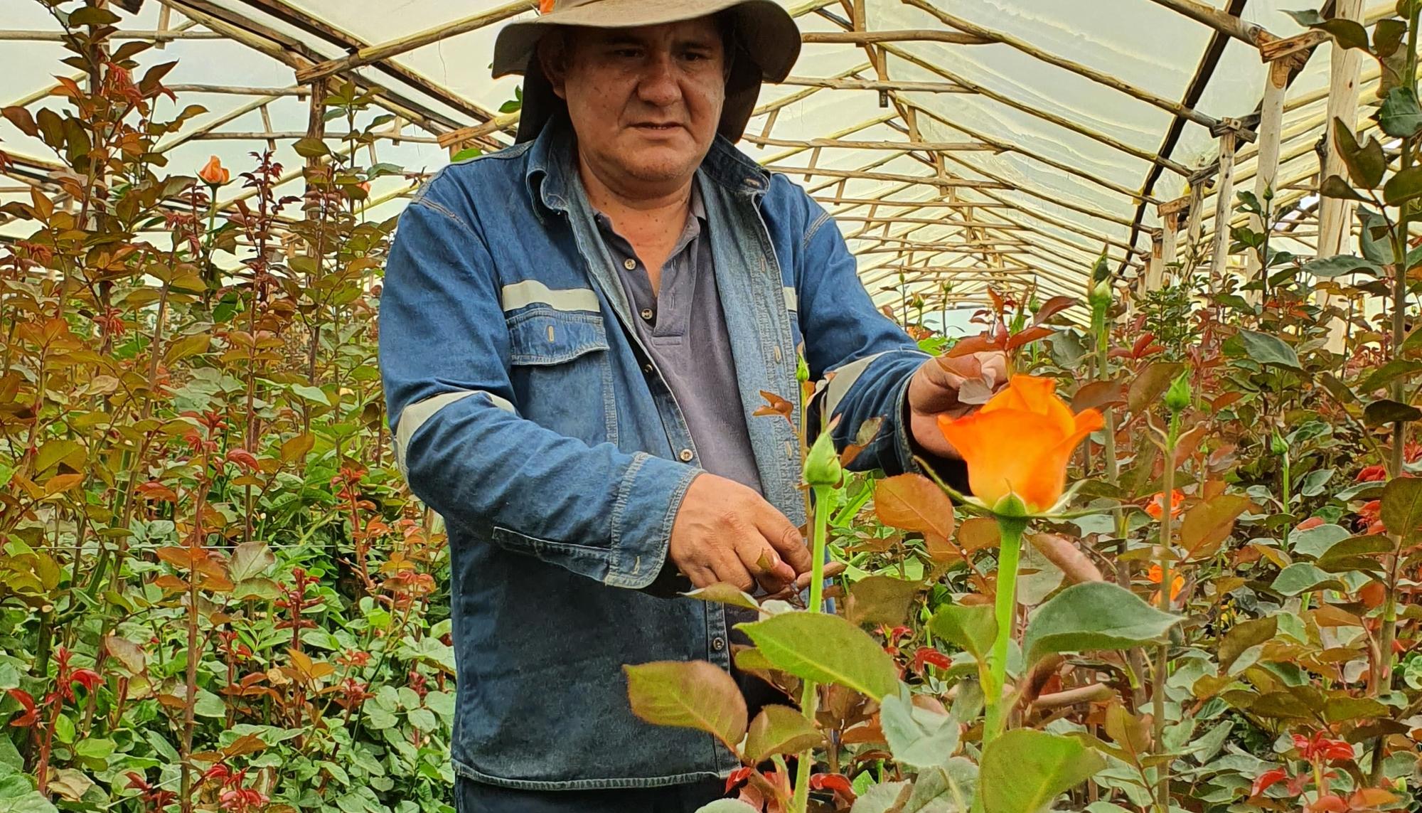 floricultor Cochabamba Bolivia