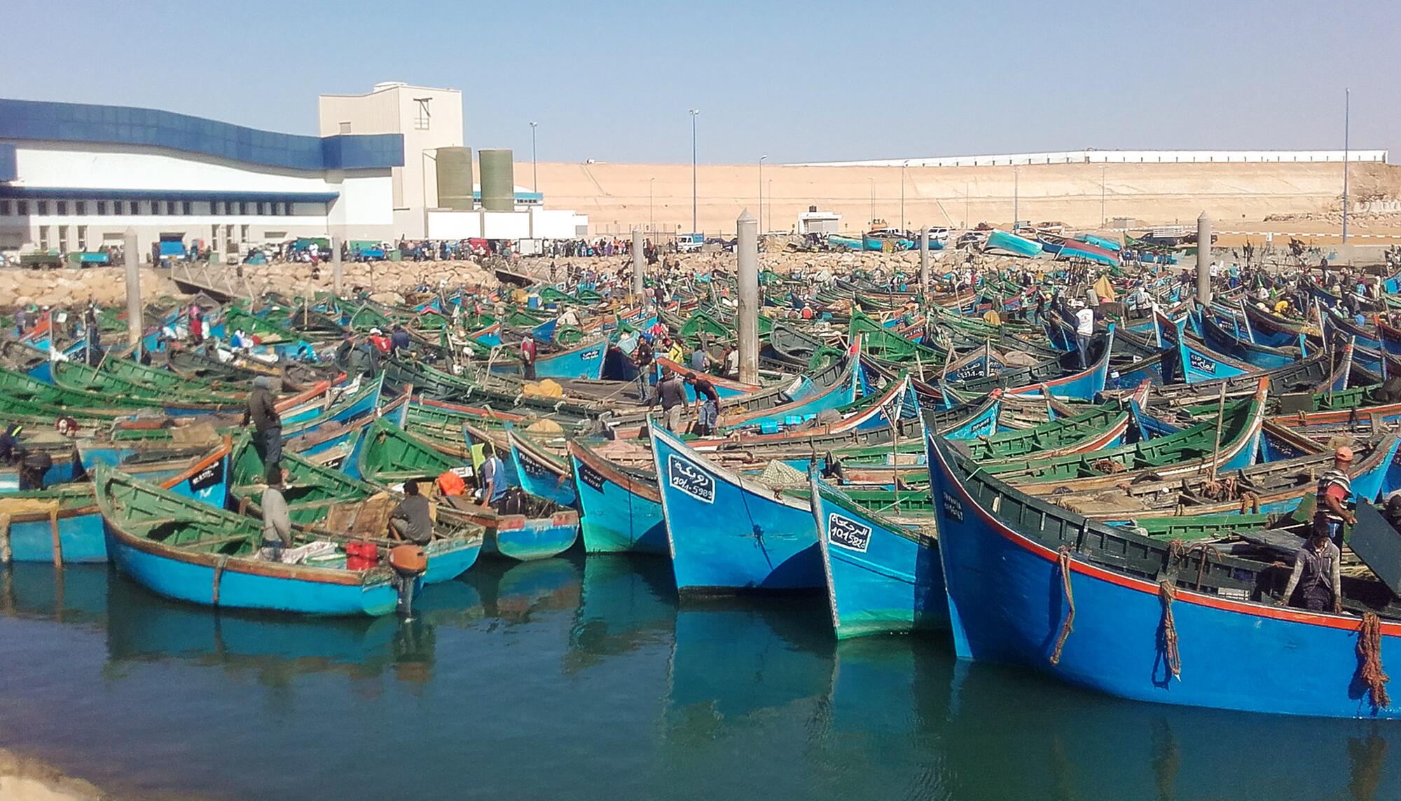 Pesca Sahara - 3