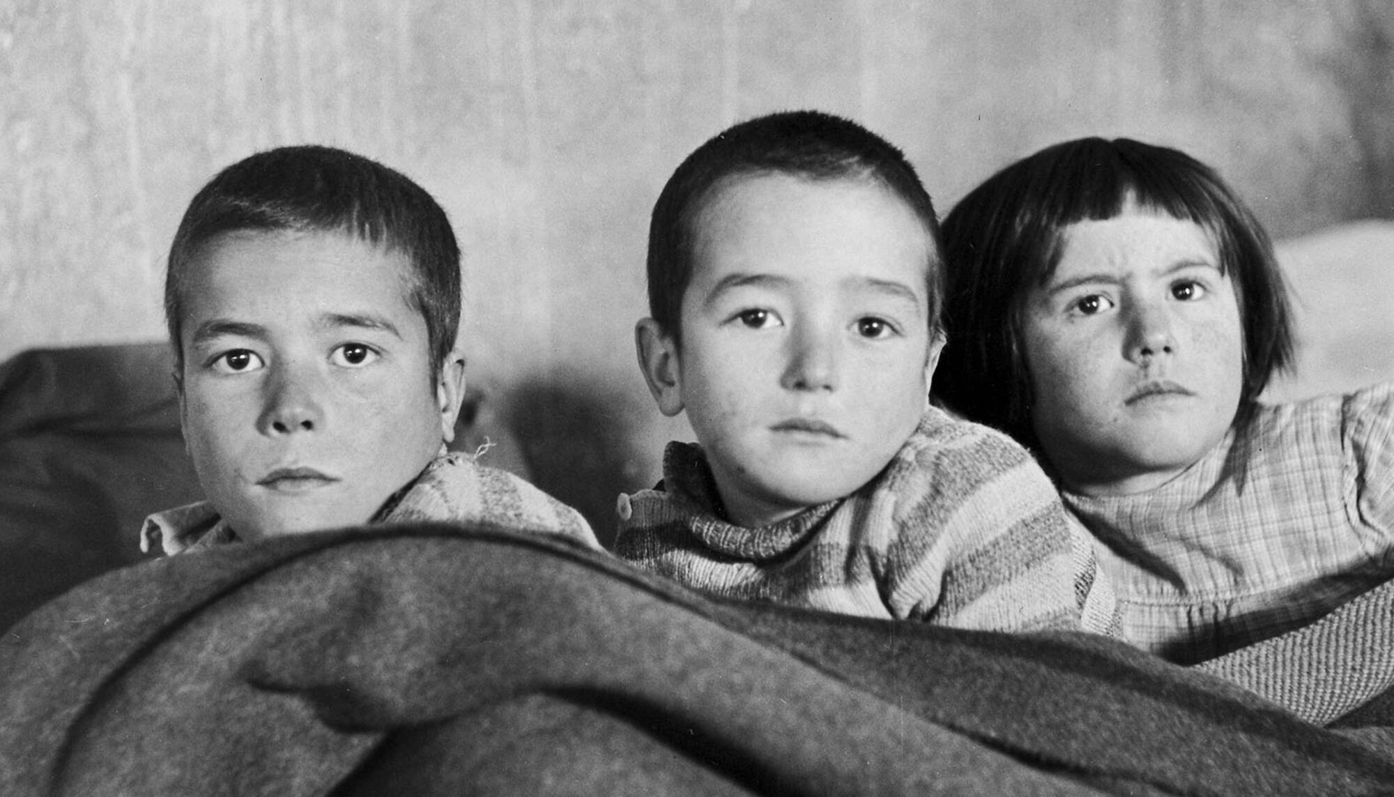 Fotografía de Paul Senn