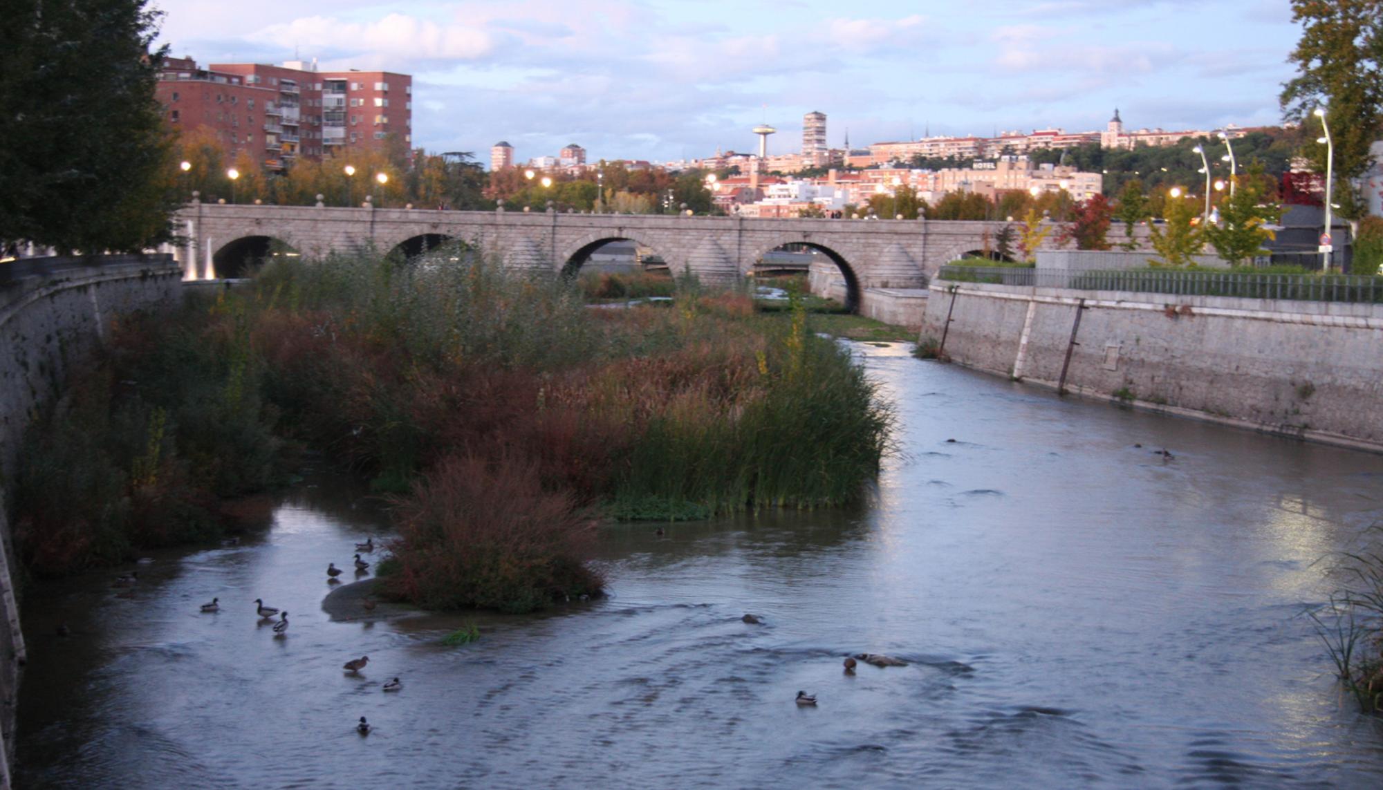 Manzanares