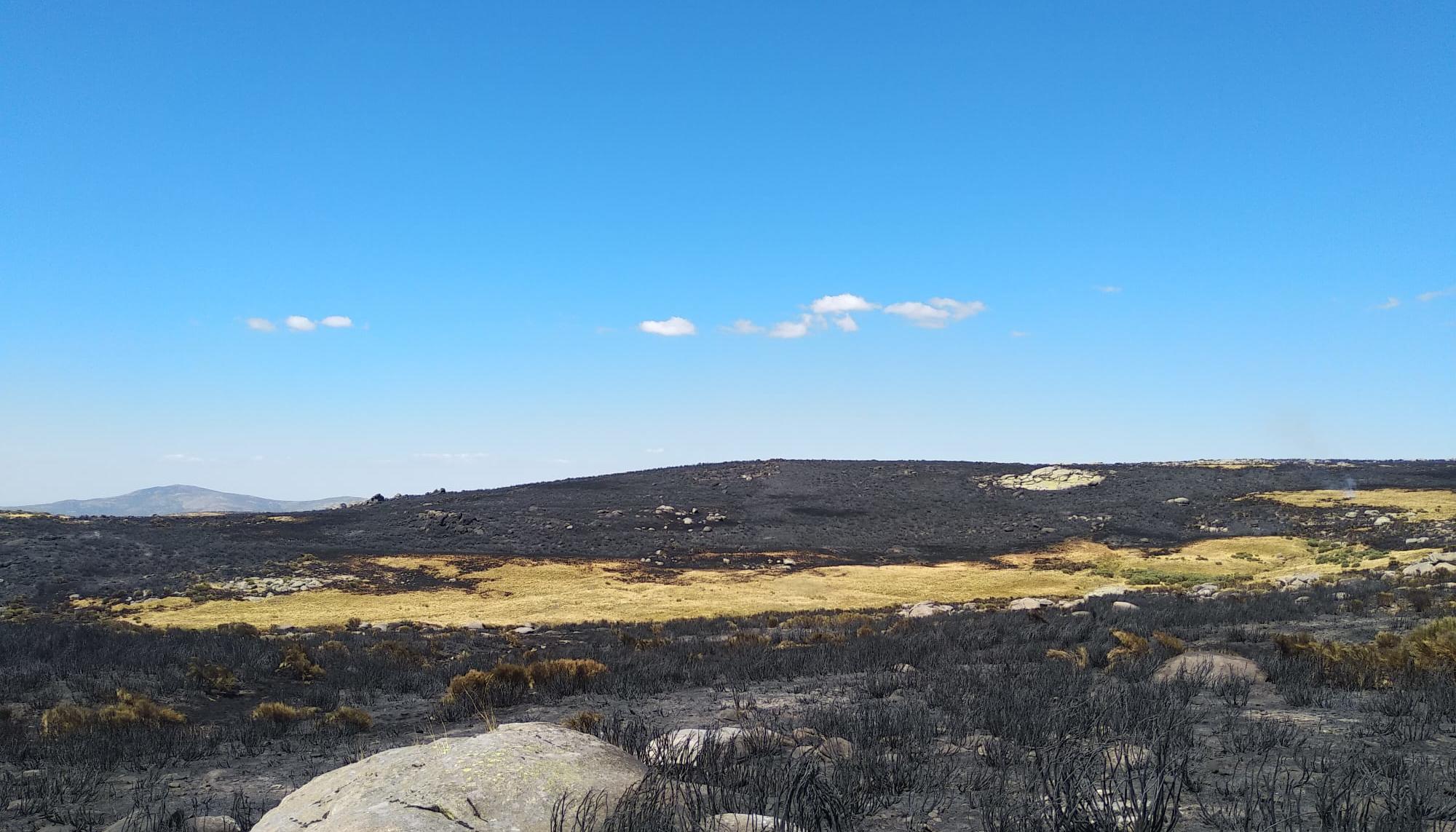 Incendio de la Vera 4