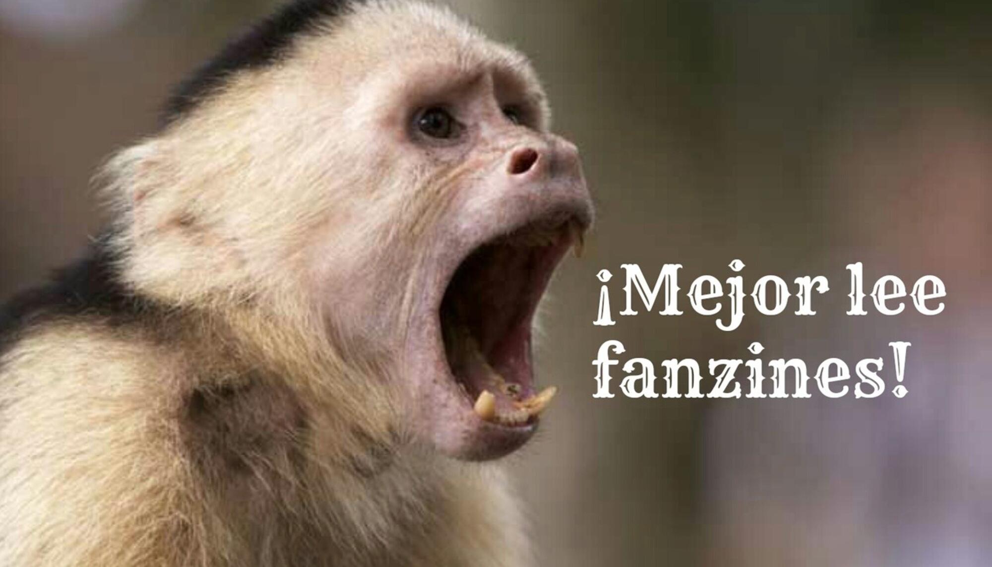 mejor lee fanzines