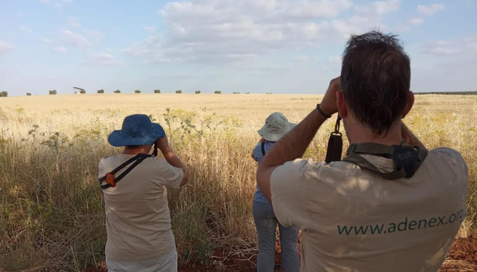 Voluntarios ADENEX