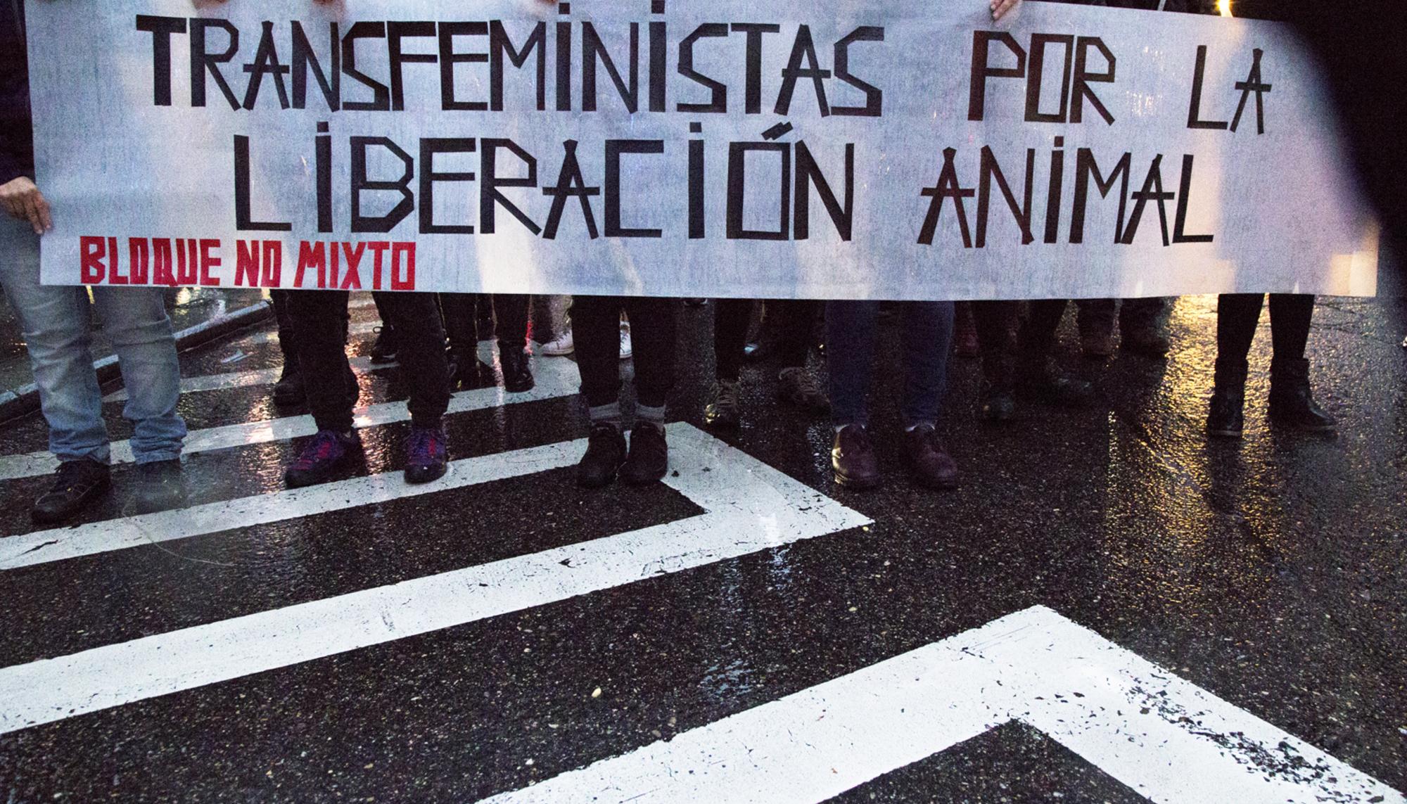 Antiespecismo 4 Noviembre