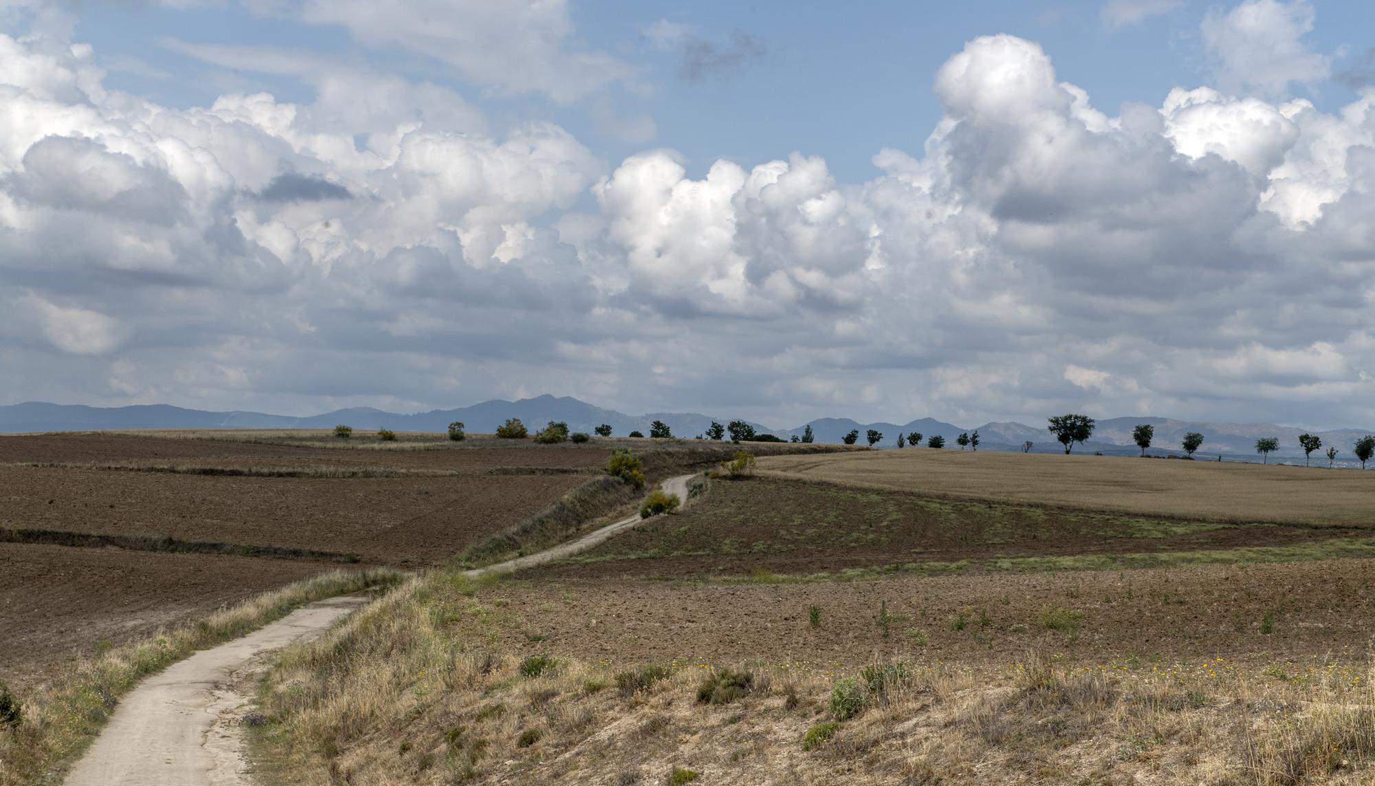 Galeria excavacion Brunete - 17