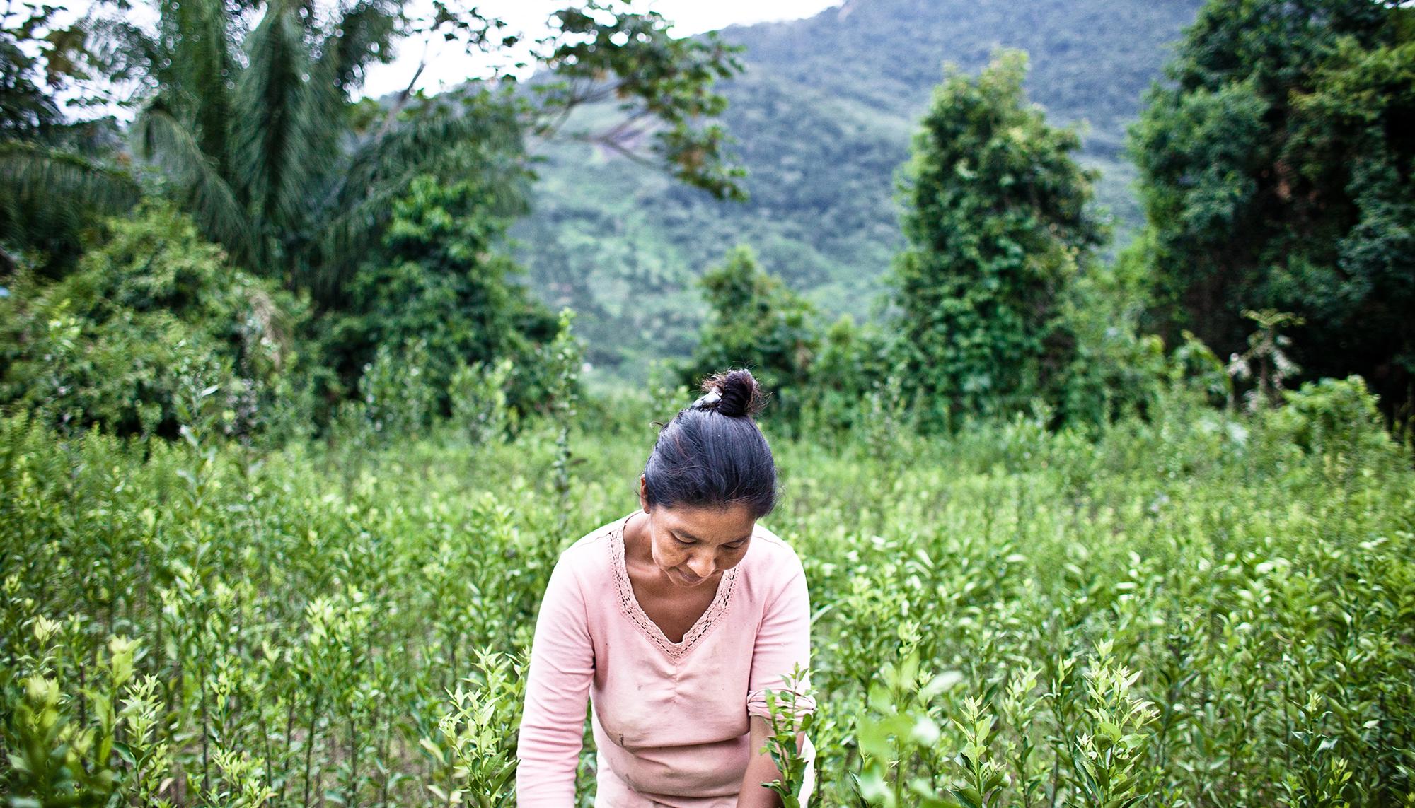 Filomena Monterilla, cultivando la tierra.