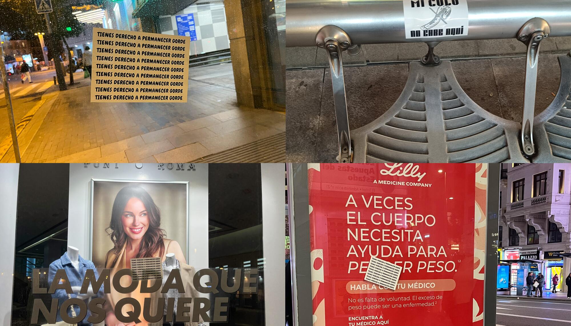 Montaje Acción Gordofobia