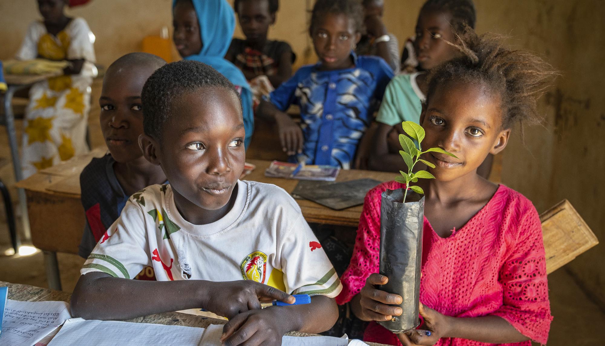 Agroecología y feminismo en Senegal - 3