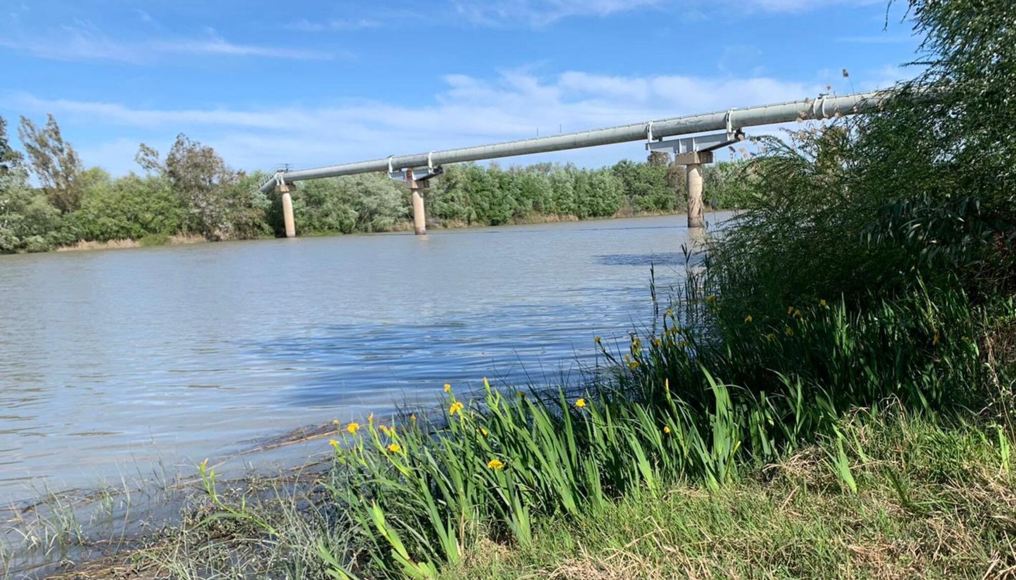 rio-guadalquivir-vertidos