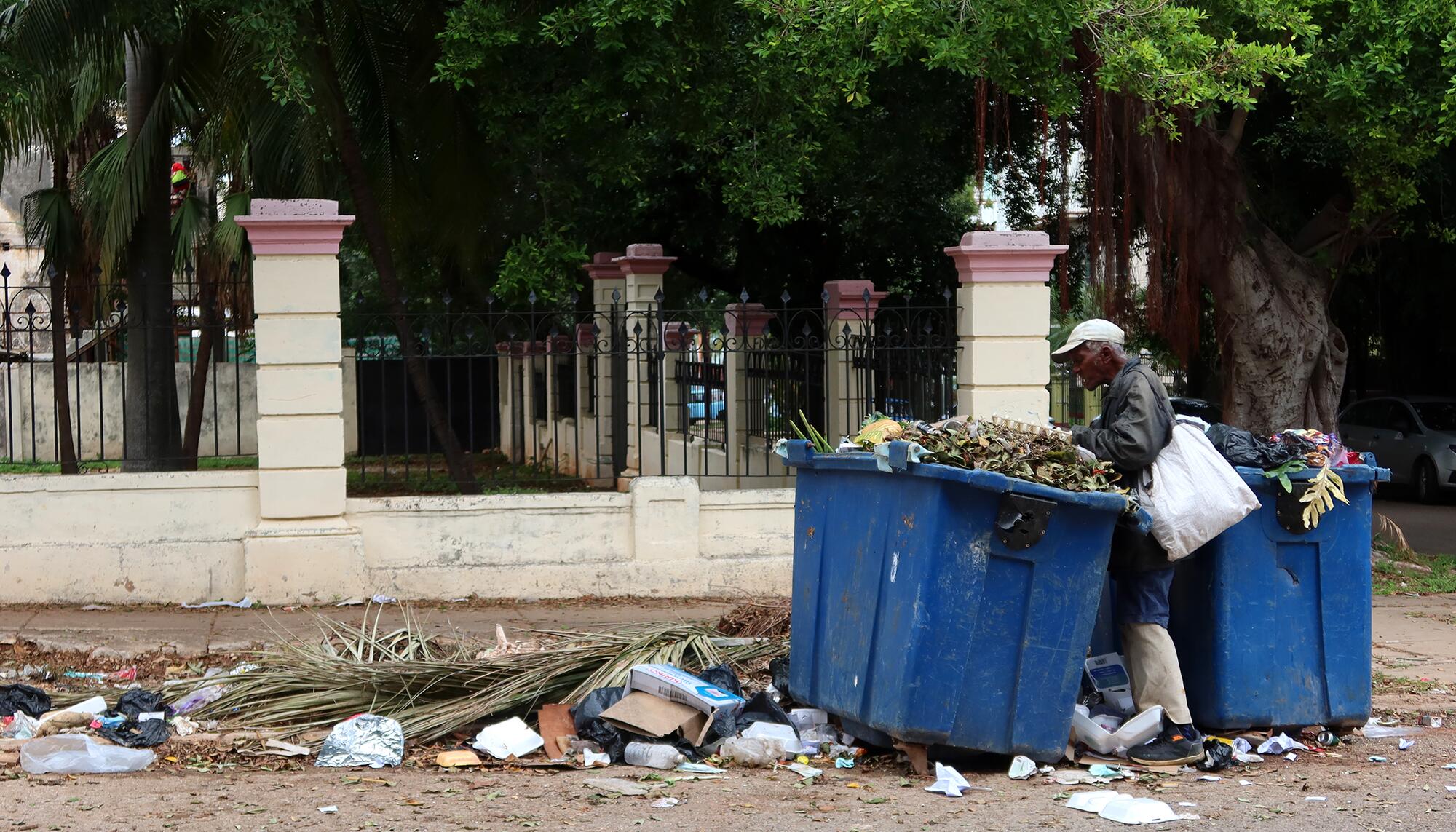 Un anciano rebuscando en la basura. Vedado. La Habana.