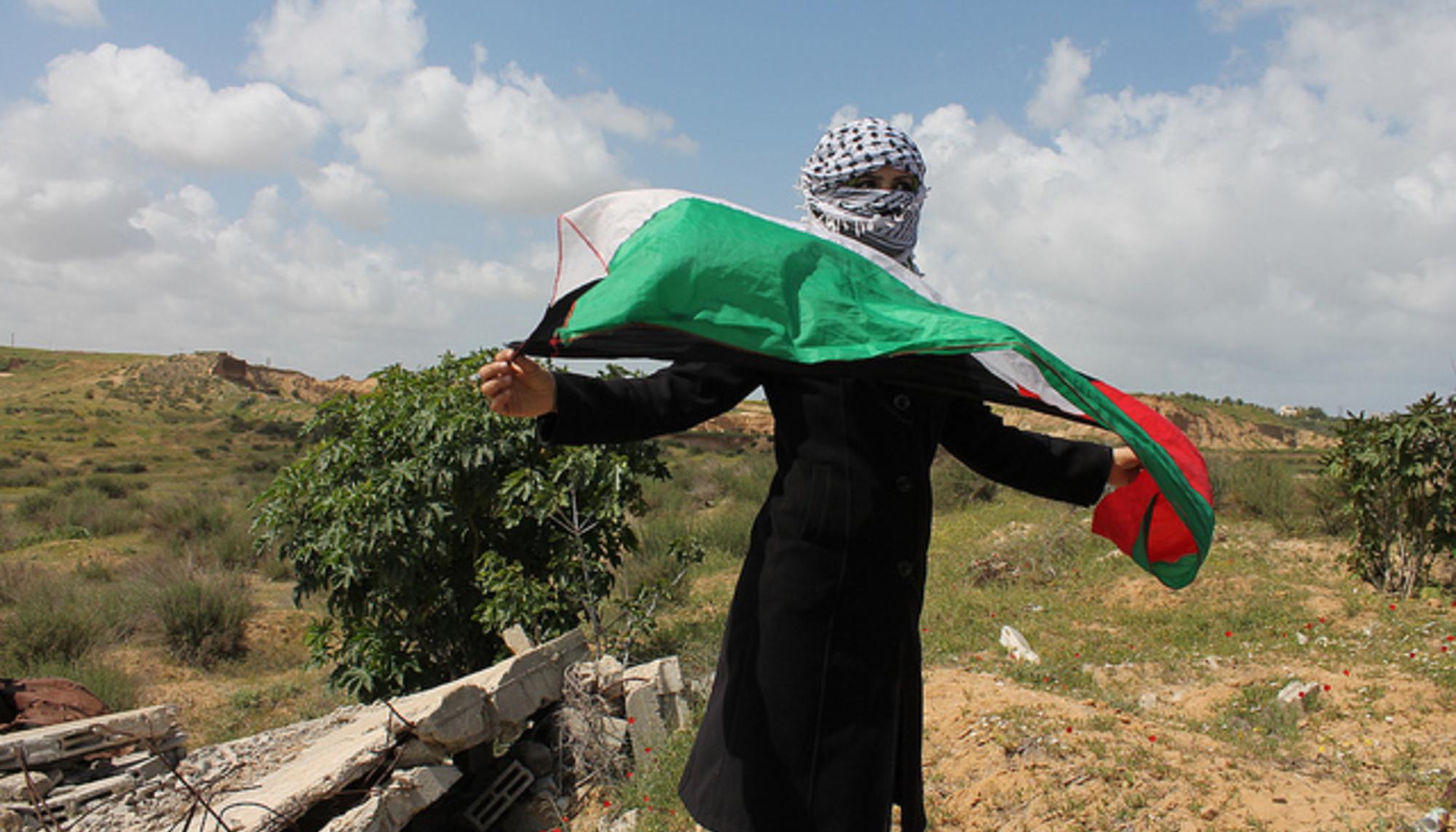 Palestina xx