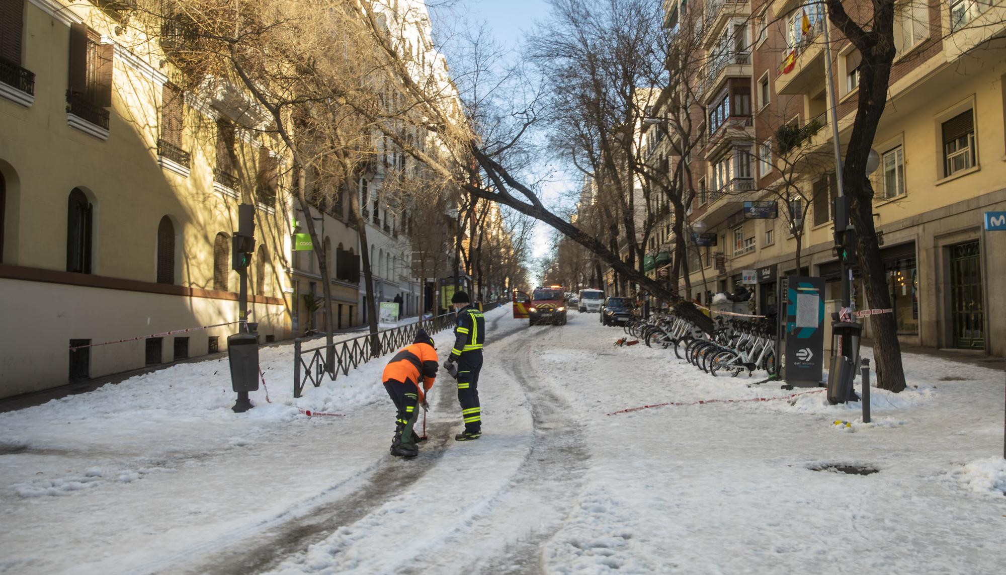 Trabajos limpieza nevada 2021 - 3