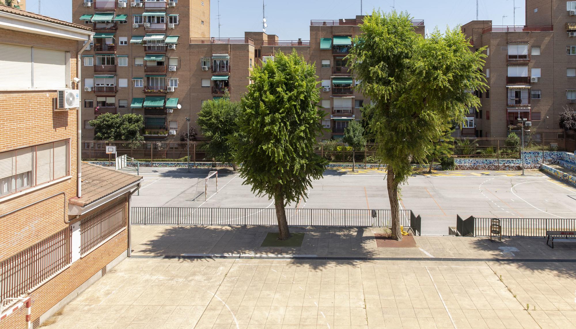 Colegio educacion primaria - 6