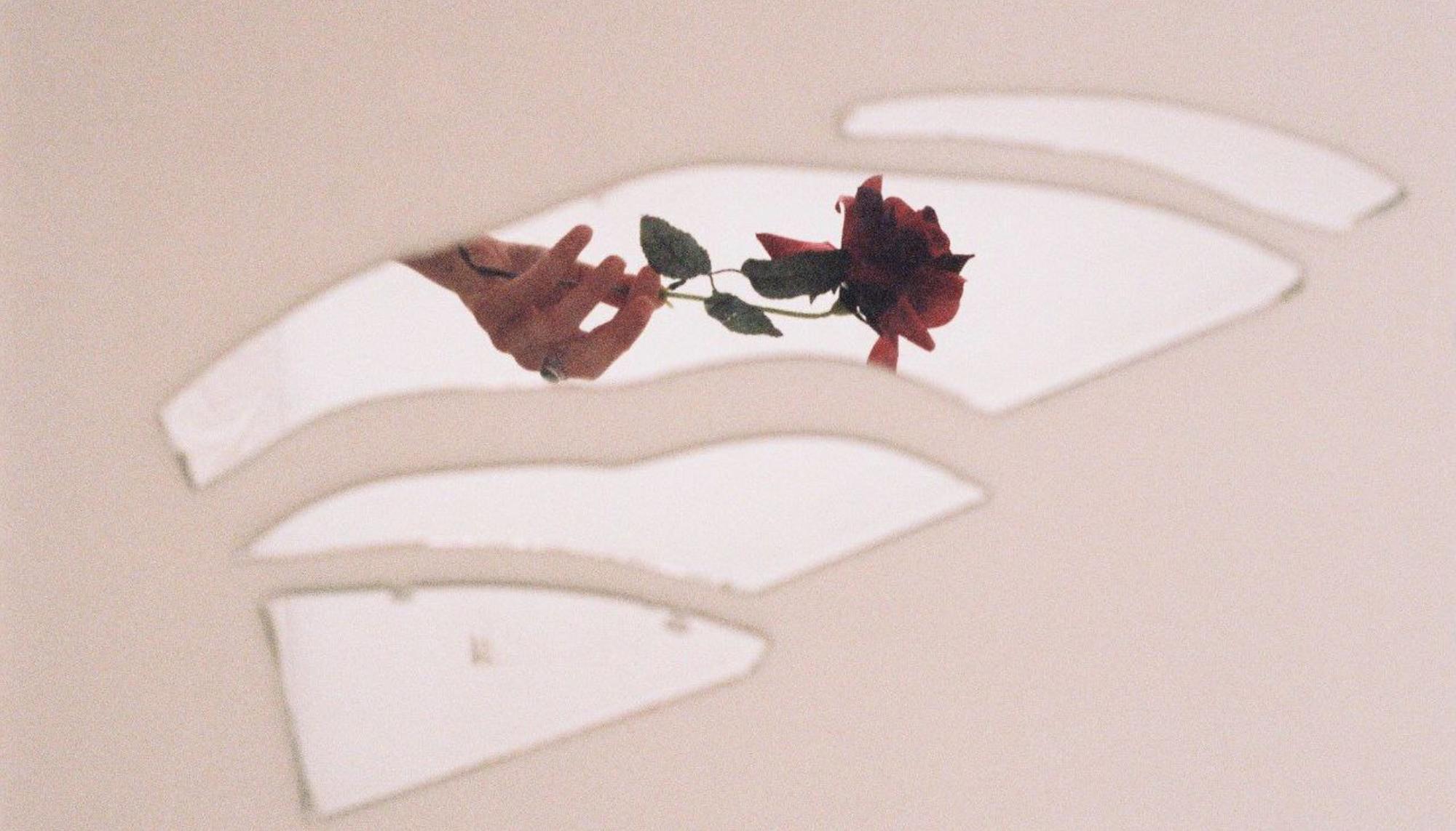 Rosa Cristal