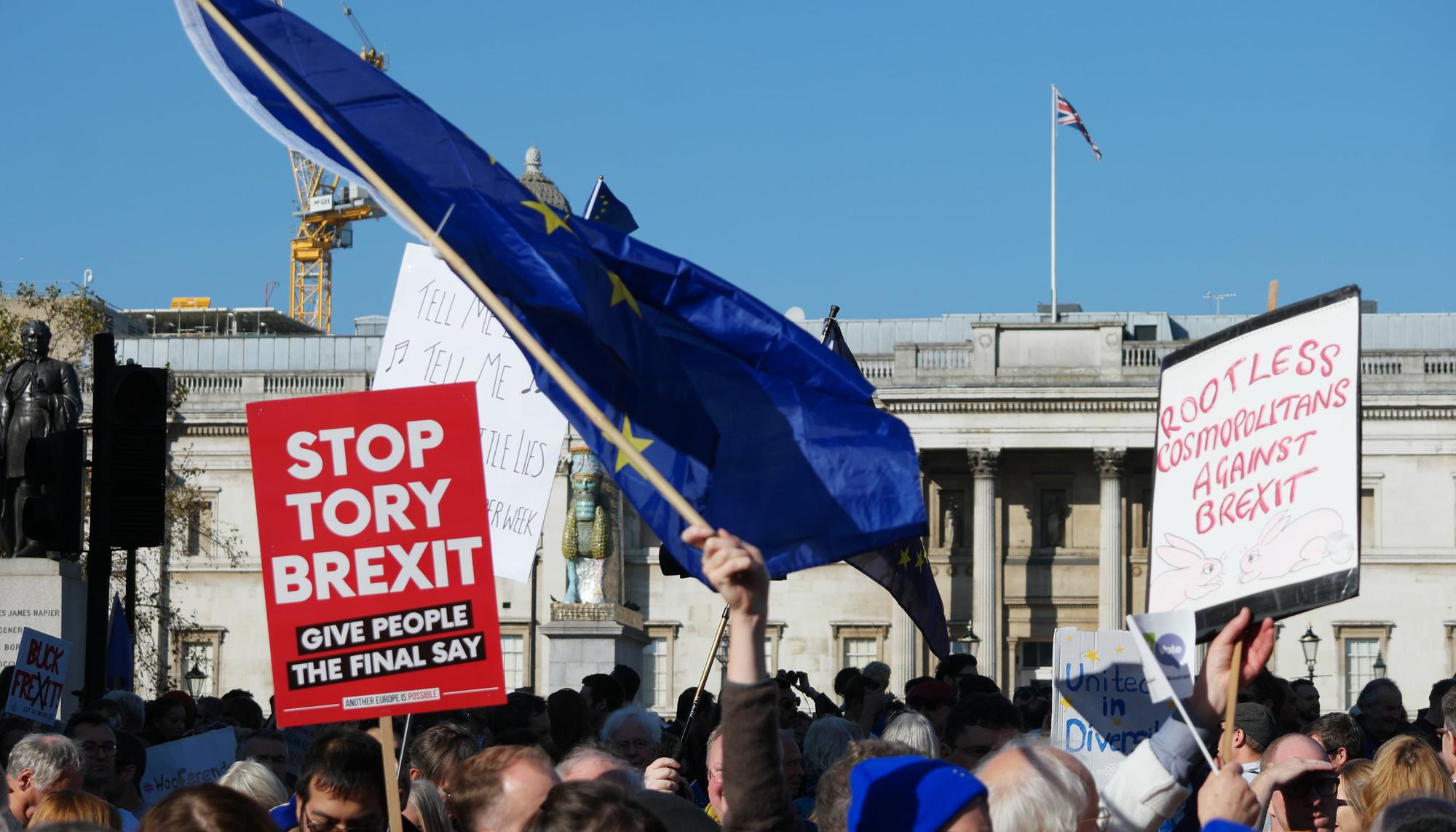 Manifestacion Brexit 2018 Londres