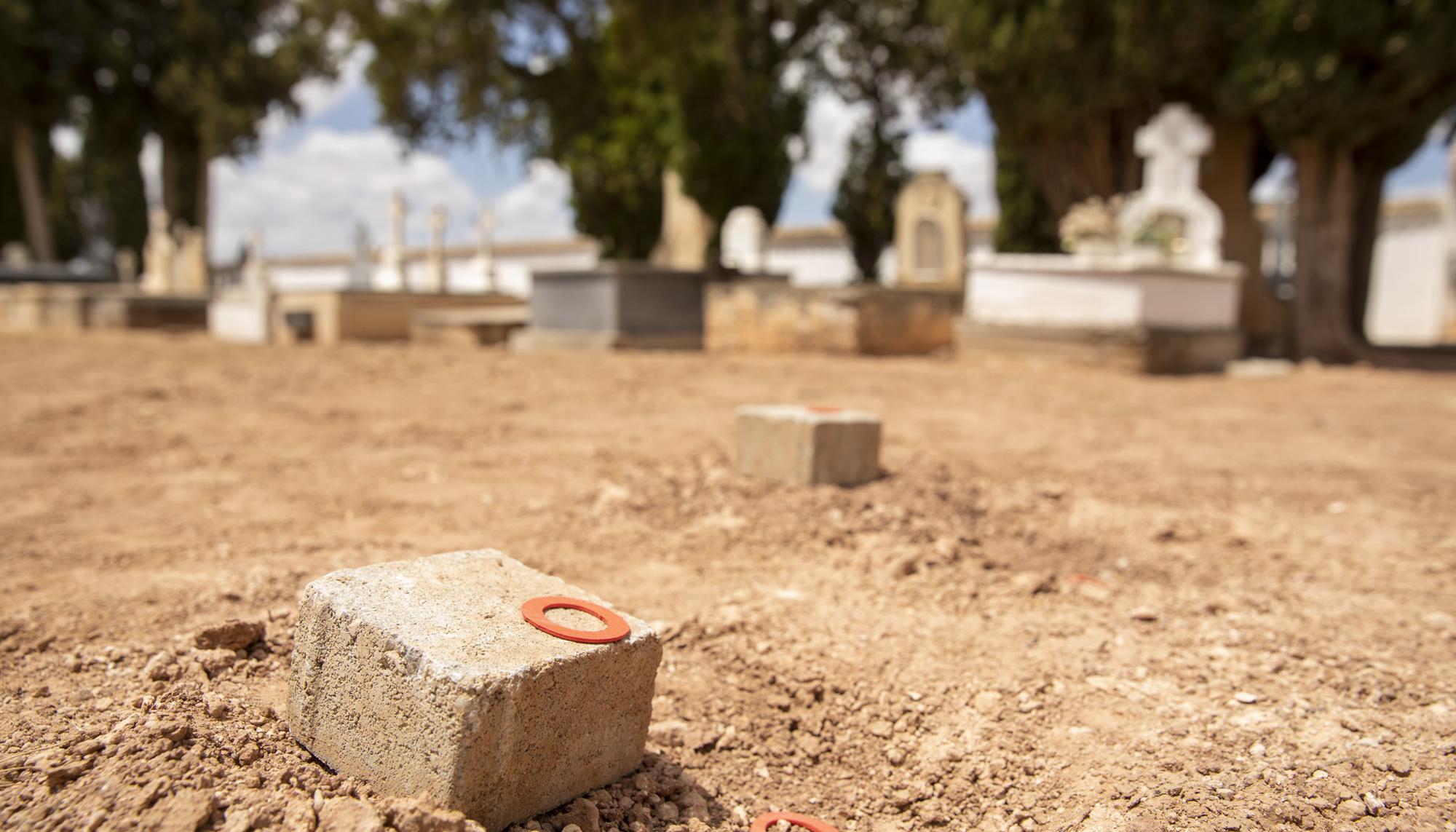 Exhumación de Manzanares en Ciudad Real - 13