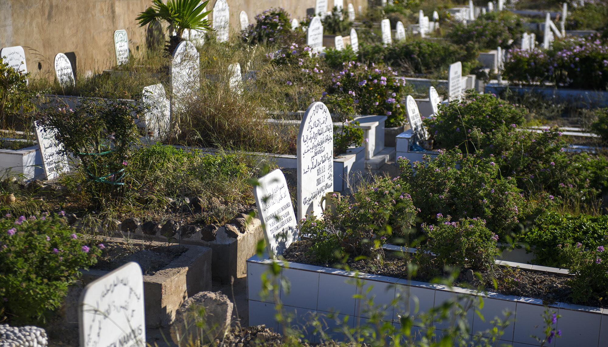 Cementerio Melilla - 1