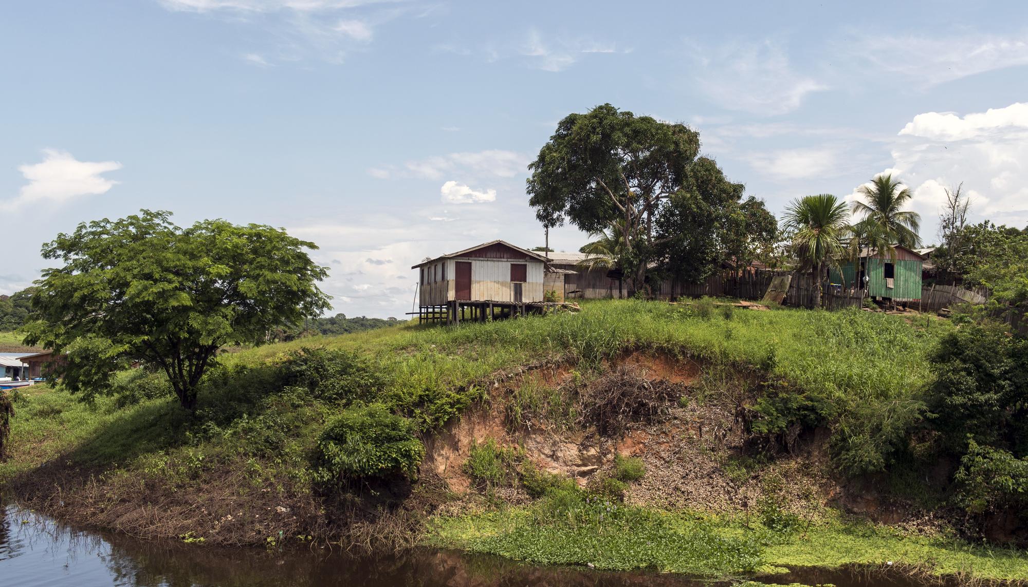 Amazonas rio - 5