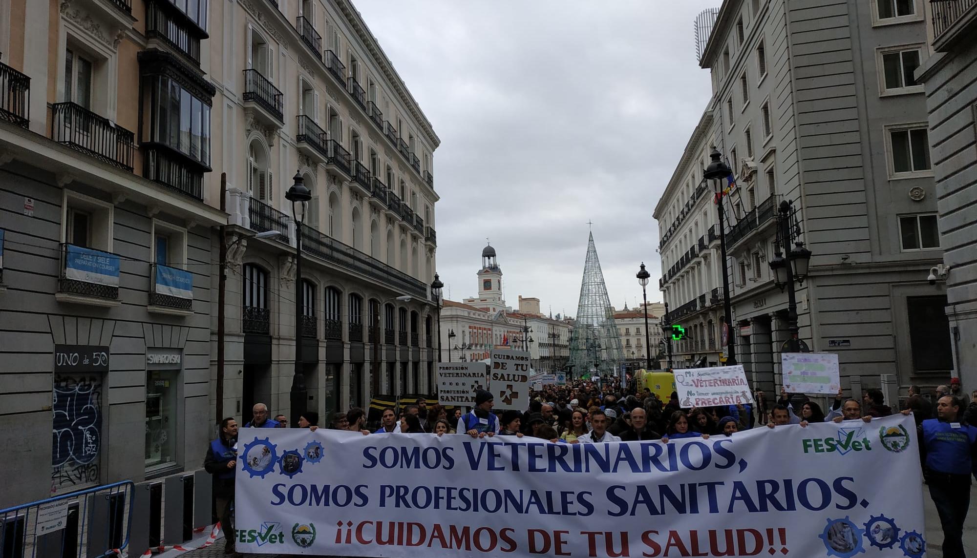 Manifestación veterinarios