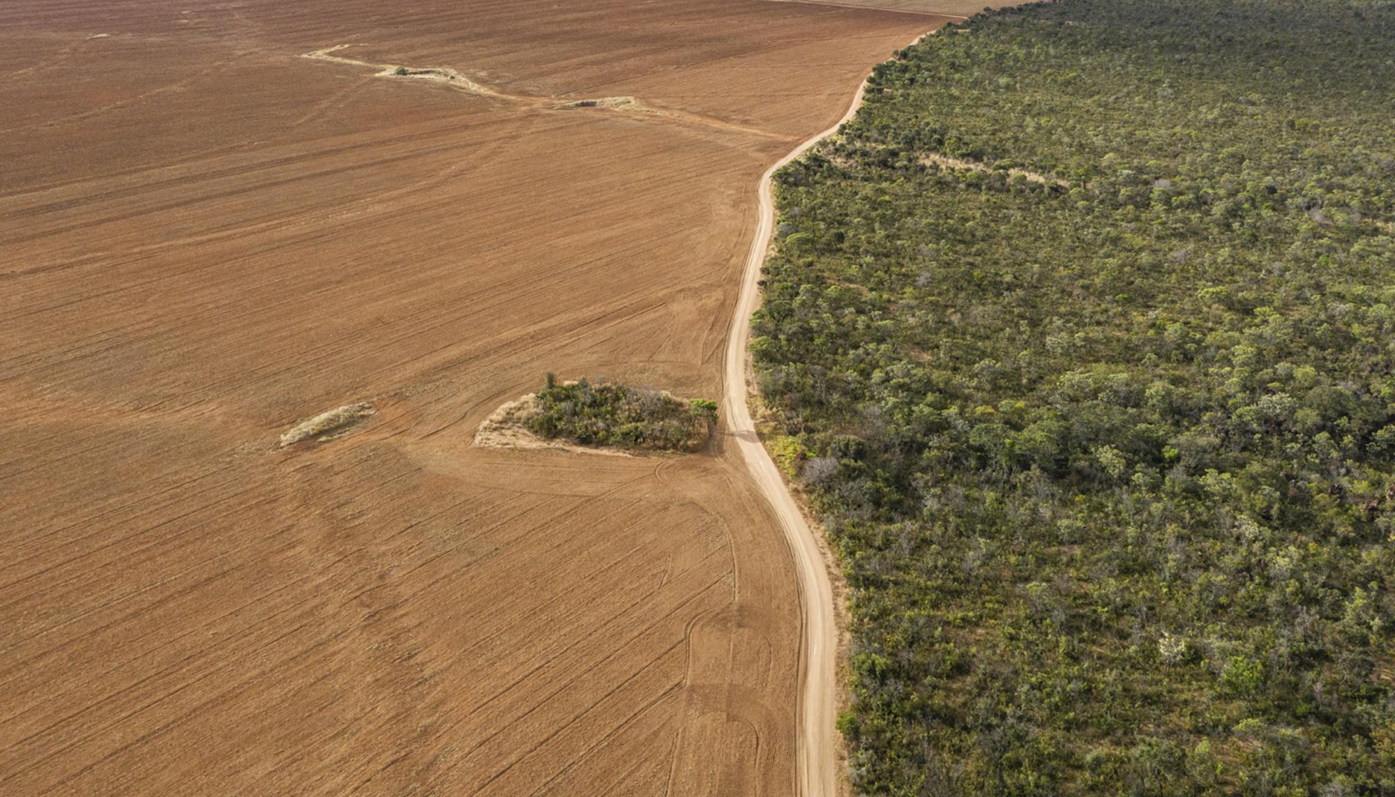 deforestacion brsail frontera